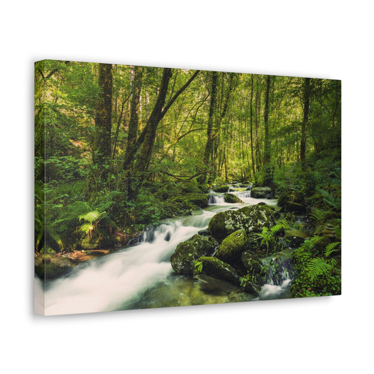 Green Forest River Nature Wilderness Photography Canvas Wall Art for Home Decor Ready-to-Hang-Express Your Love Gifts