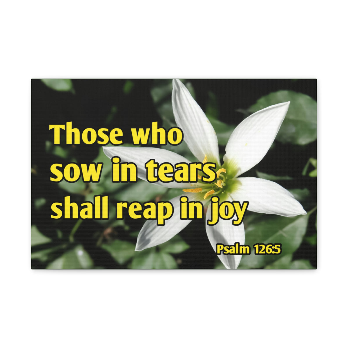 Scripture Walls Shall Reap In Joy Psalm 126:5 Bible Verse Canvas Christian Wall Art Ready to Hang-Express Your Love Gifts