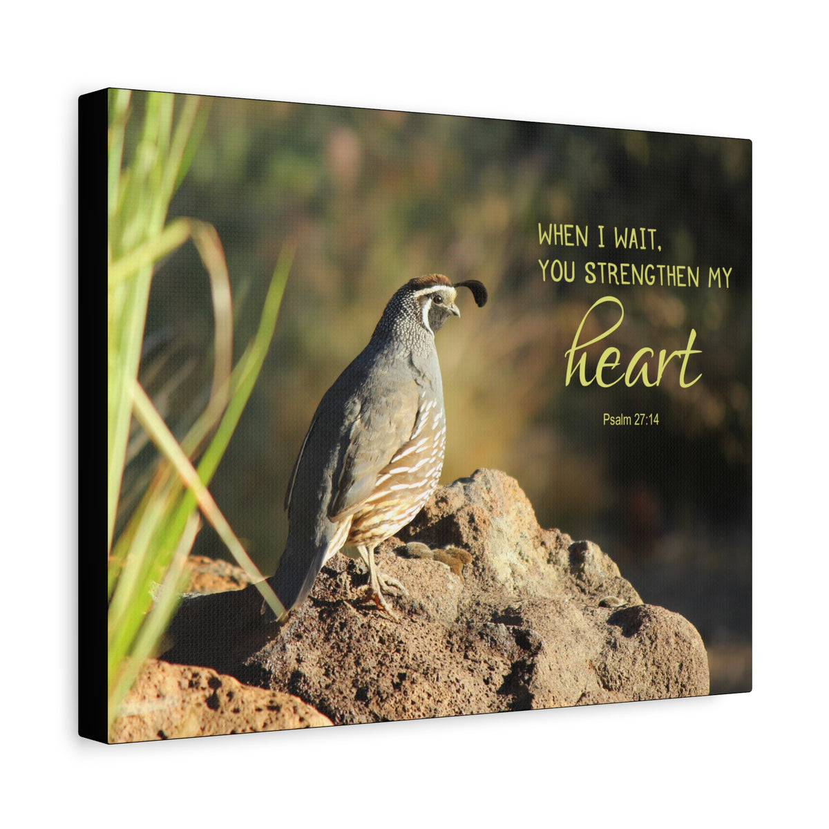 Scripture Canvas Strengthen My Heart Psalm 27:14 Christian Wall Art Bible Verse Print Ready to Hang-Express Your Love Gifts