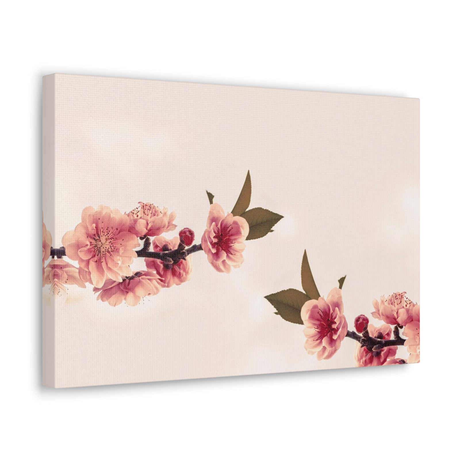 Peach Blossoms with Space Forest Floral Nature Photography Canvas Wall Art for Home Decor Ready-to-Hang-Express Your Love Gifts