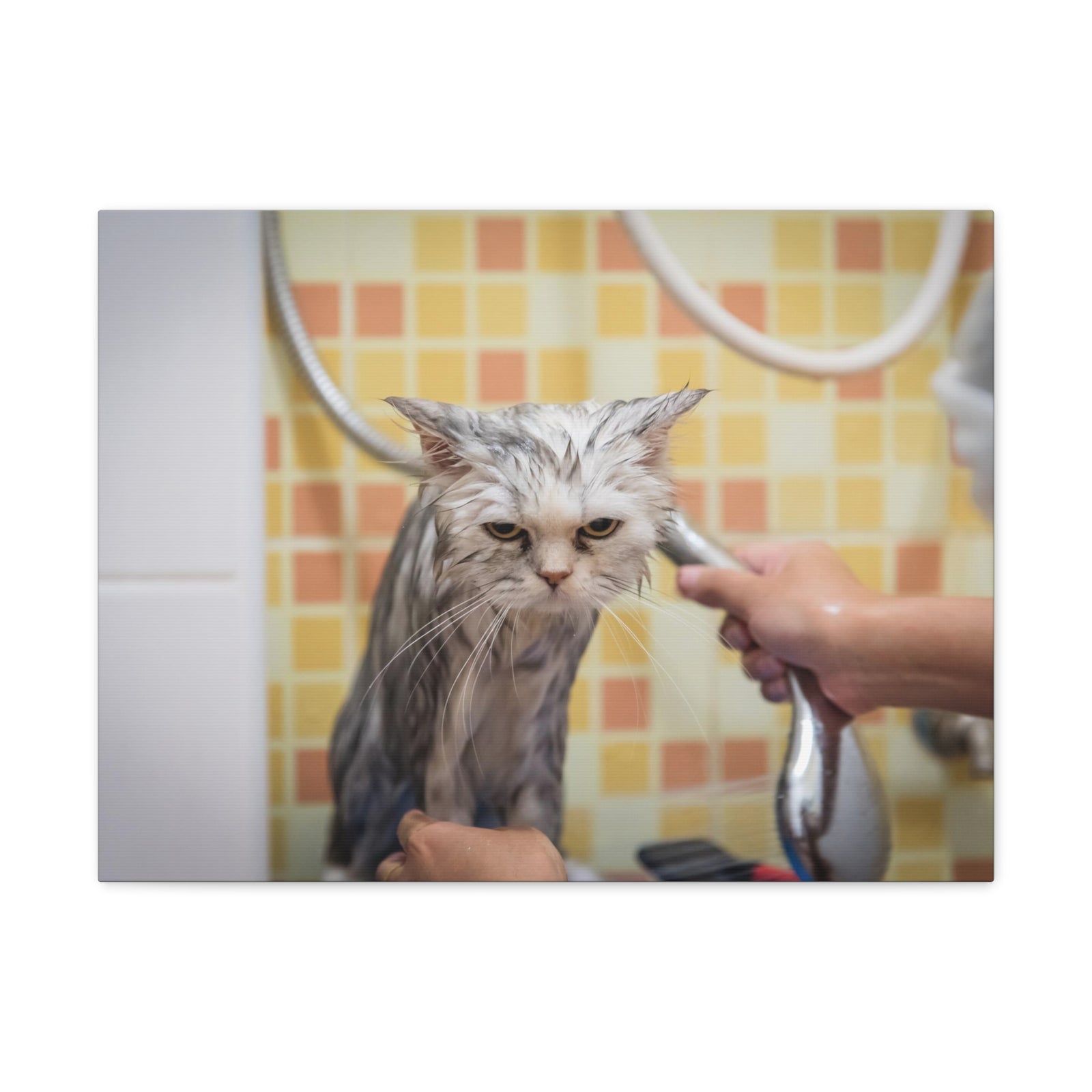 Cute Maine Coon Bath Canvas Wall Art for Home Decor Ready-to-Hang-Express Your Love Gifts