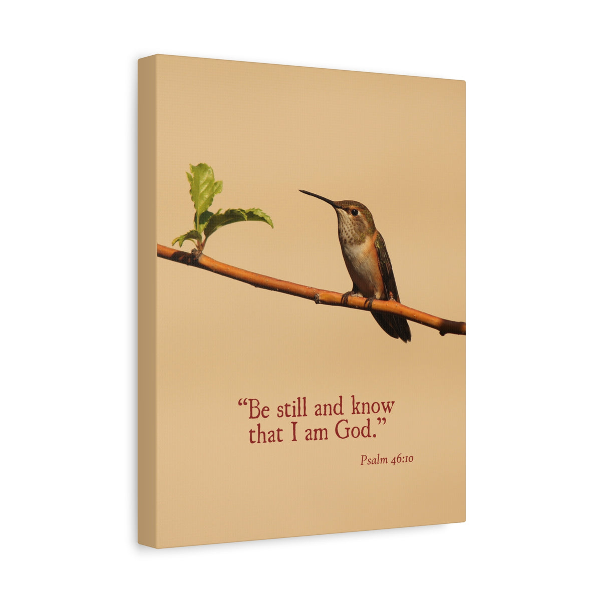 Scripture Walls I Am God Psalm 46:10 Bible Verse Canvas Christian Wall Art Ready to Hang-Express Your Love Gifts
