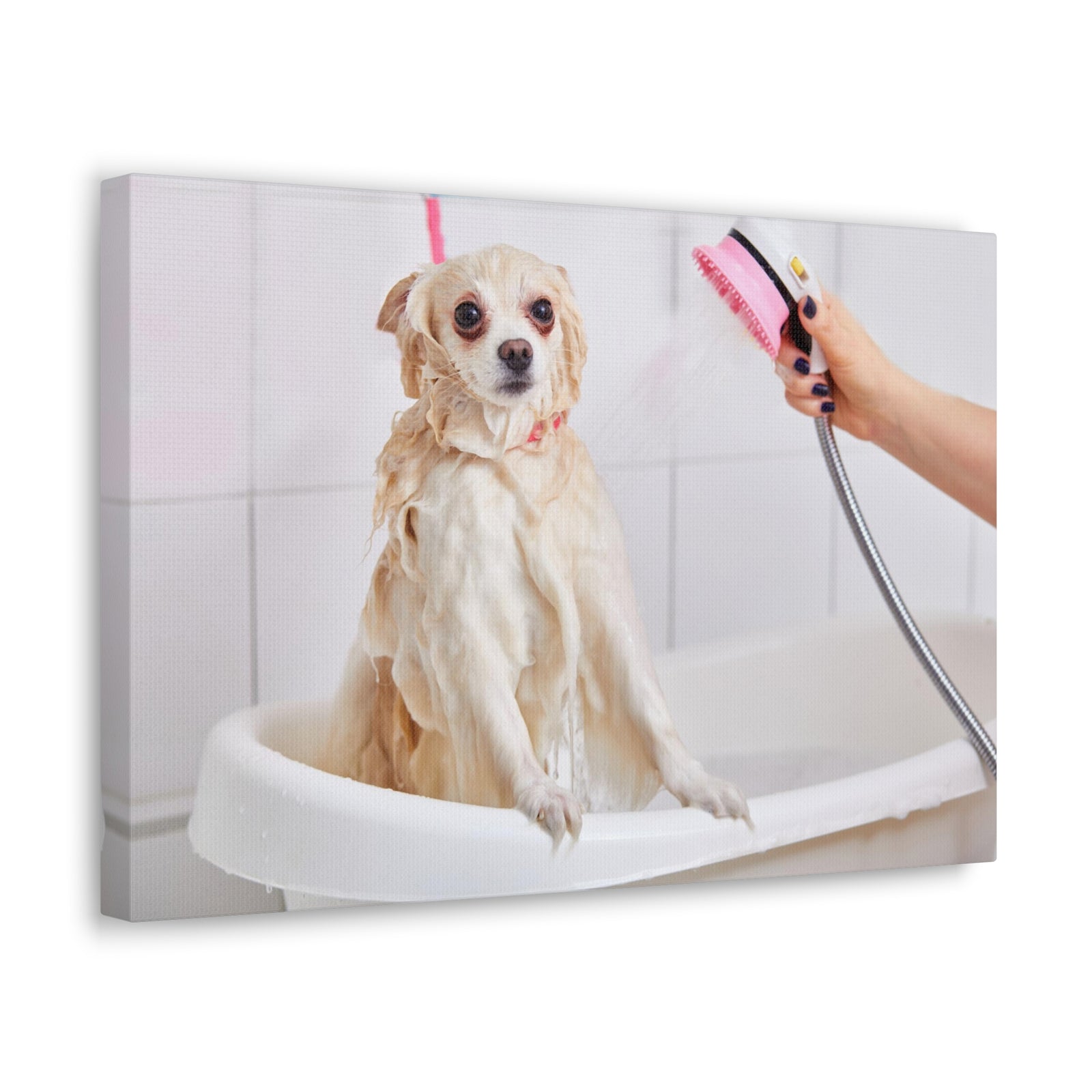 Cute Maltese Bath Canvas Wall Art for Home Decor Ready-to-Hang-Express Your Love Gifts