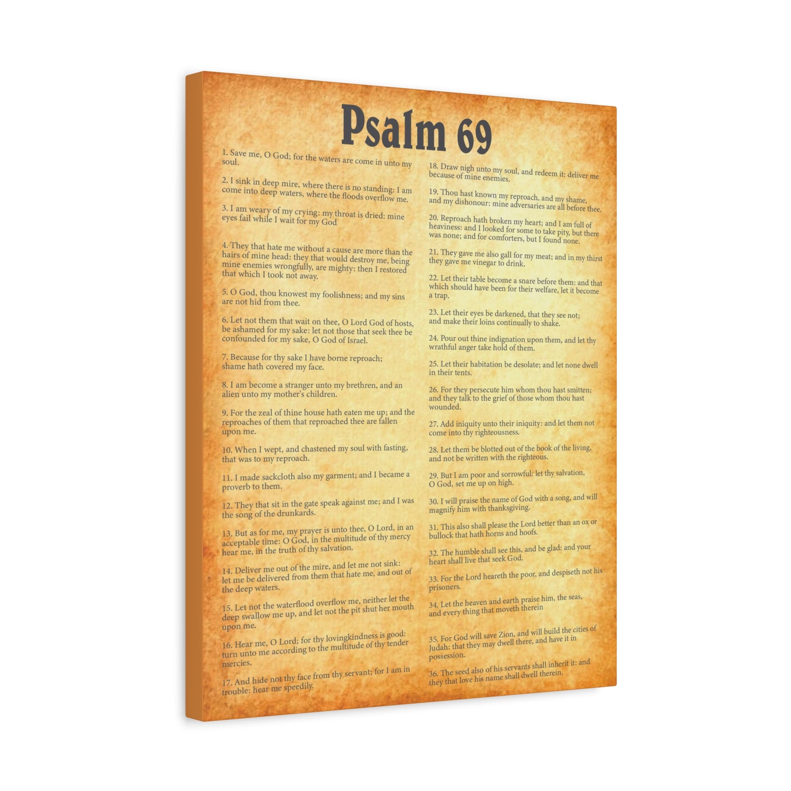 Scripture Walls Psalm 69 Gold Bible Chapter Canvas Christian Wall Art Ready to Hang-Express Your Love Gifts