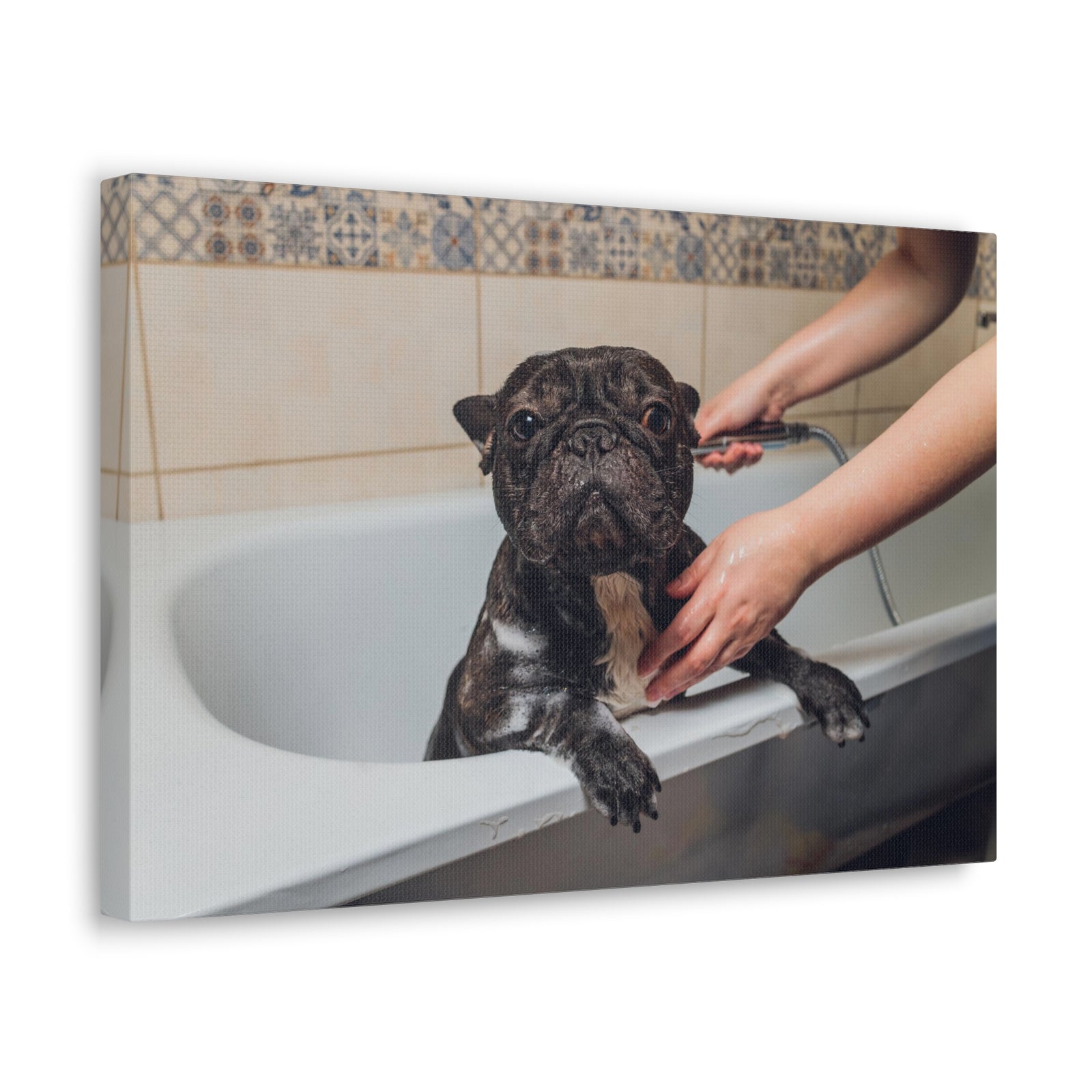 Cute French Bulldog Bath Canvas Wall Art for Home Decor Ready-to-Hang-Express Your Love Gifts