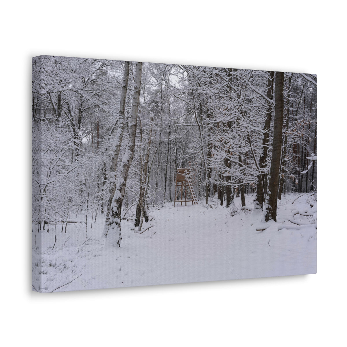 Forest Winter Tree Snow Nature Wilderness Photography Canvas Wall Art for Home Decor Ready-to-Hang-Express Your Love Gifts