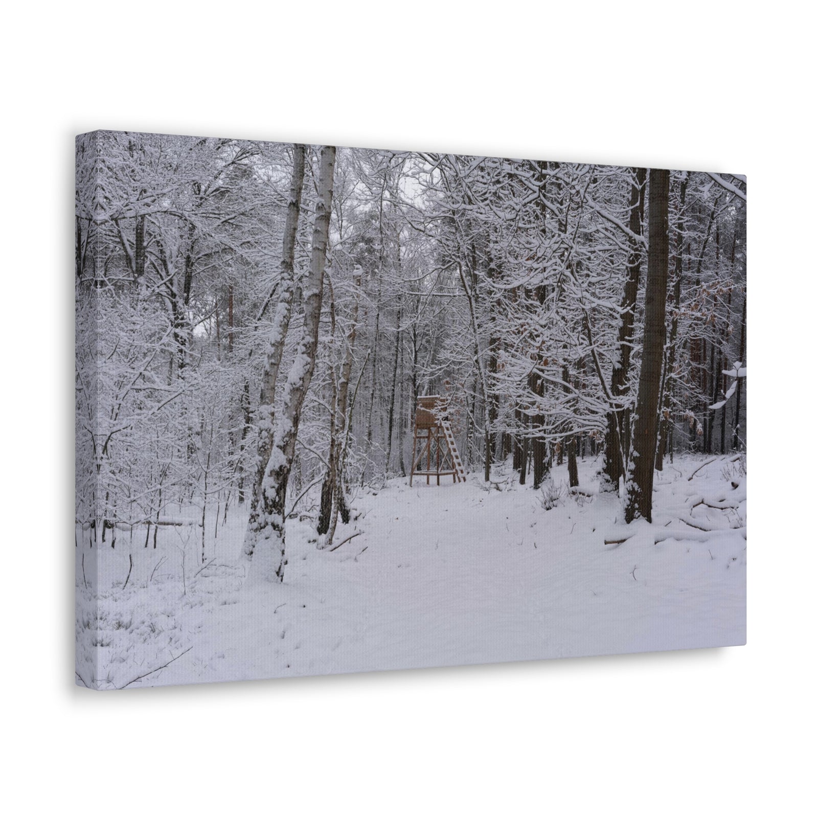 Forest Winter Tree Snow Nature Wilderness Photography Canvas Wall Art for Home Decor Ready-to-Hang-Express Your Love Gifts
