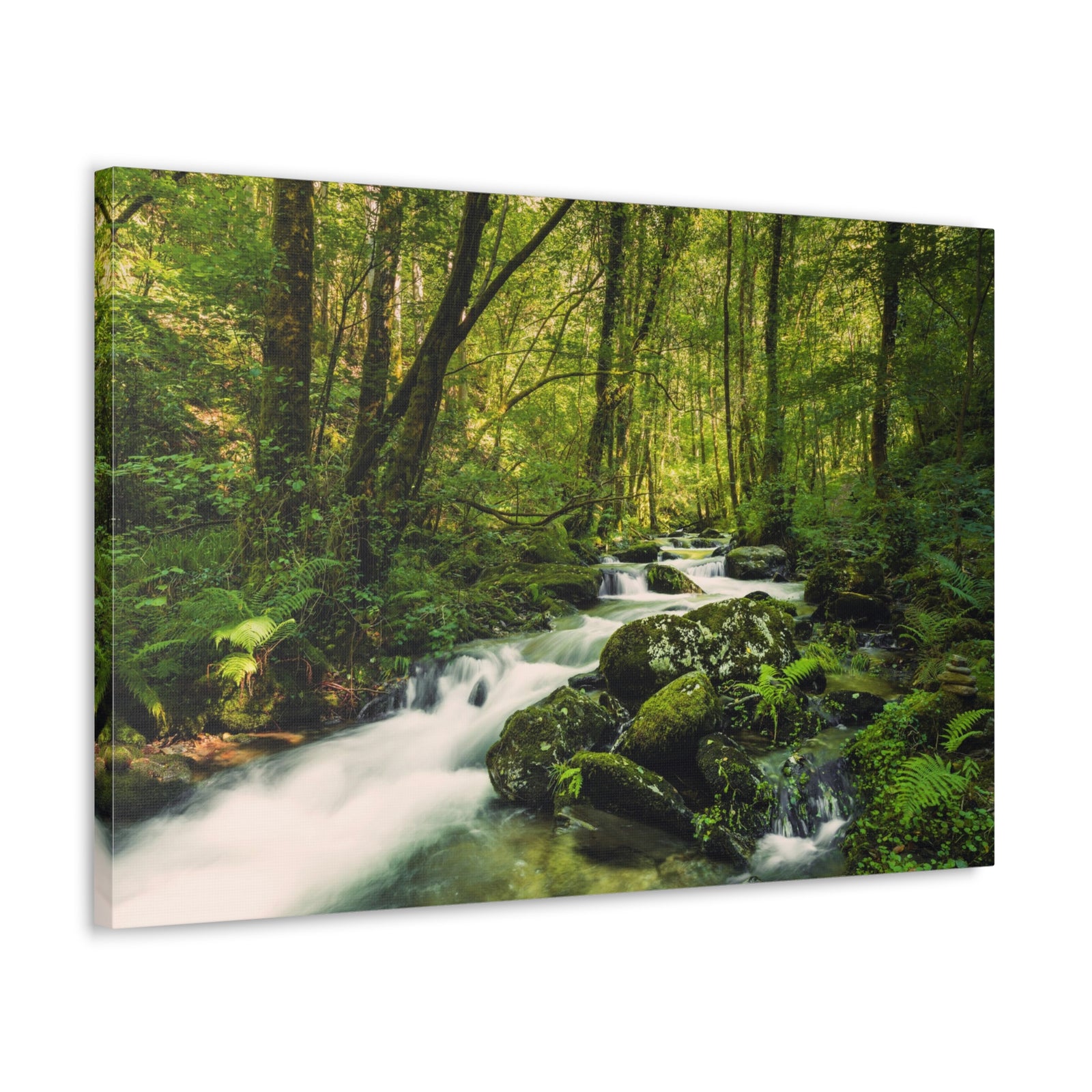 Green Forest River Nature Wilderness Photography Canvas Wall Art for Home Decor Ready-to-Hang-Express Your Love Gifts