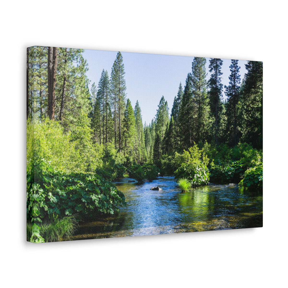 River Through The Green Forest Nature Wilderness Photography Canvas Wall Art for Home Decor Ready-to-Hang-Express Your Love Gifts