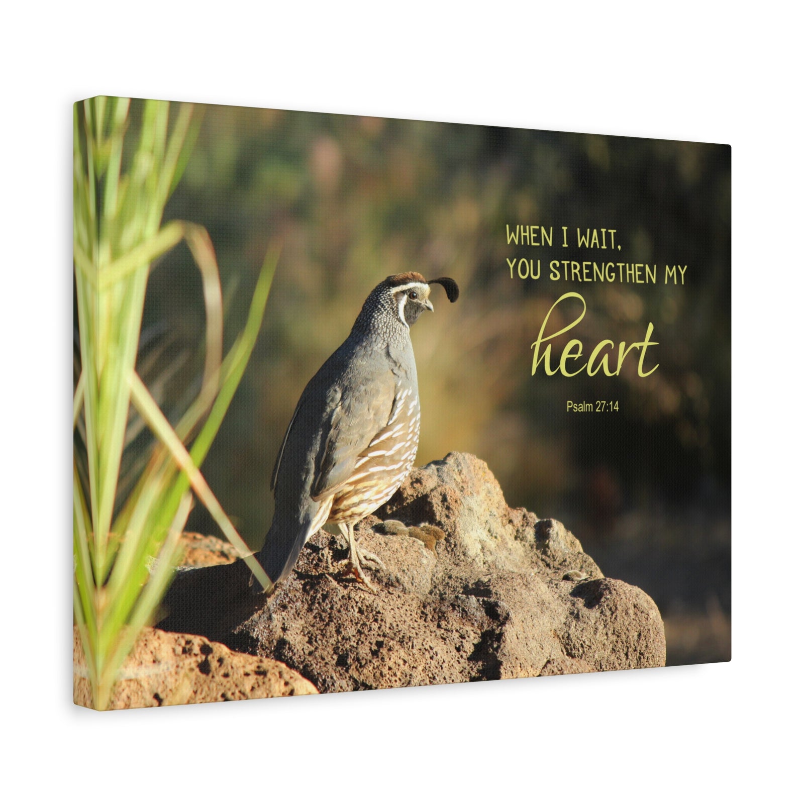 Scripture Walls Strengthen My Heart Psalm 27:14 Bird Bible Verse Canvas Christian Wall Art Ready to Hang-Express Your Love Gifts