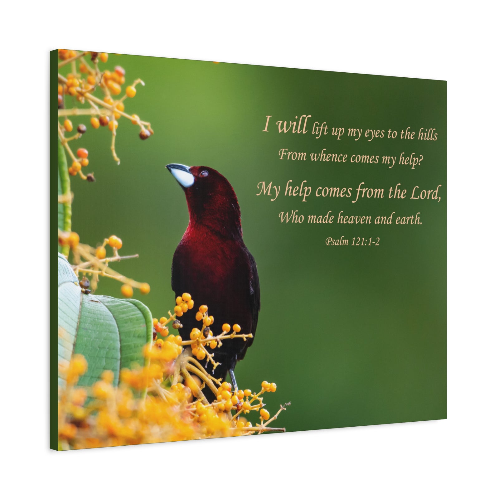 Scripture Canvas Comes From The Lord Psalm 121:1-2 Christian Wall Art Bible Verse Print Ready to Hang-Express Your Love Gifts