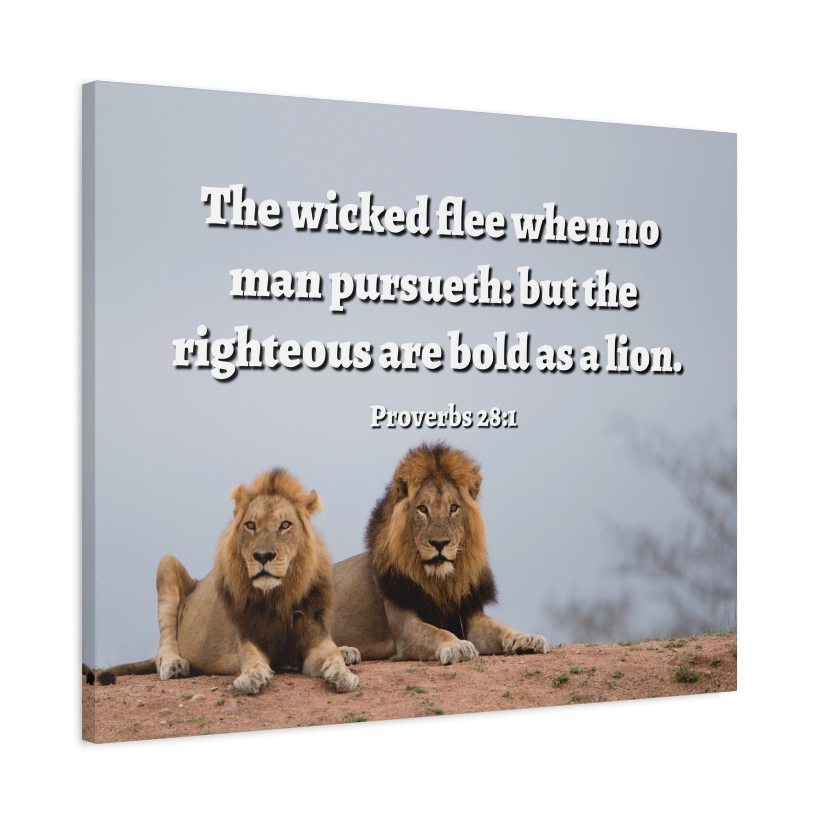 Scripture Walls The Righteous Proverbs 28:1 Bible Verse Canvas Christian Wall Art Ready to Hang-Express Your Love Gifts