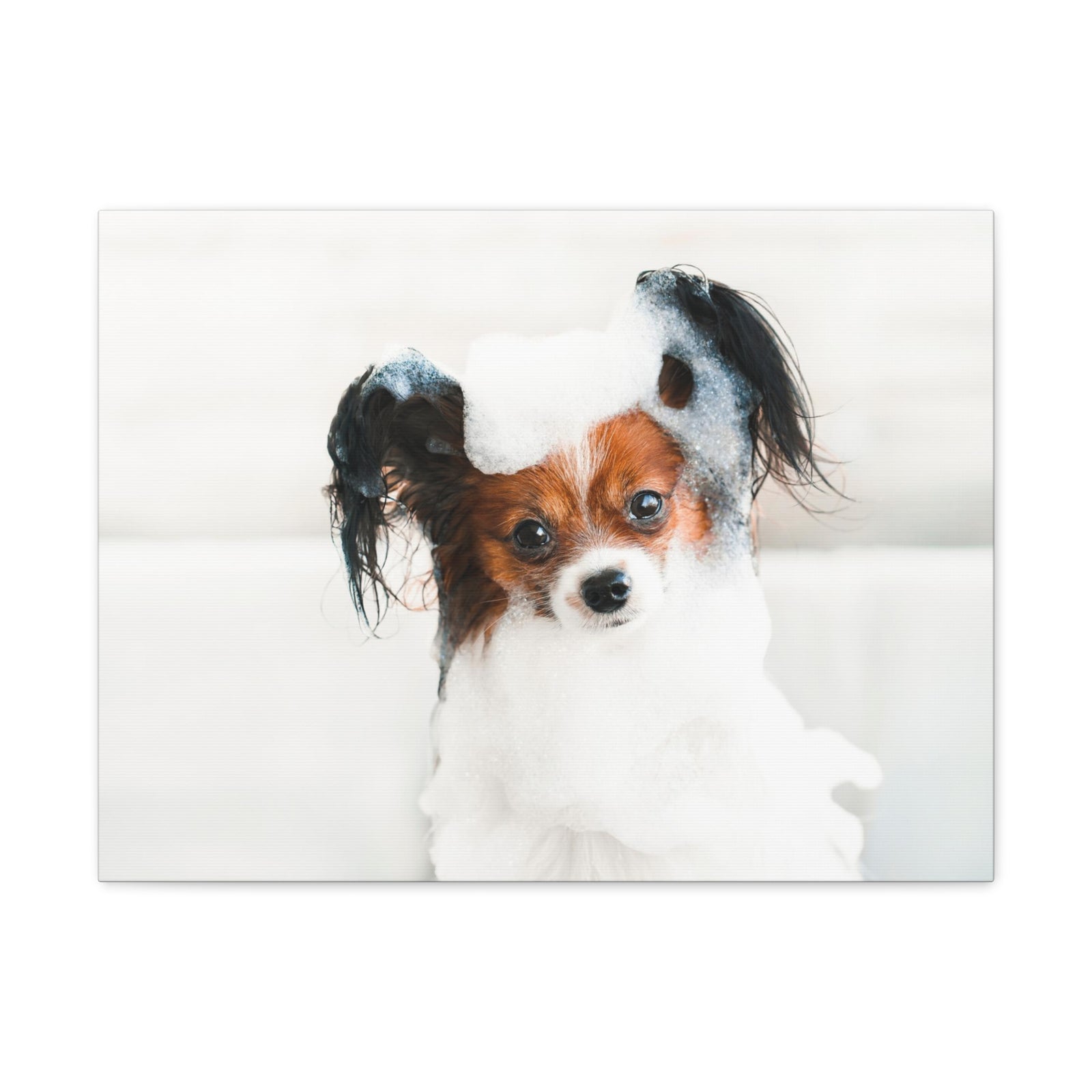Cute Papillon Bath Canvas Wall Art for Home Decor Ready-to-Hang-Express Your Love Gifts