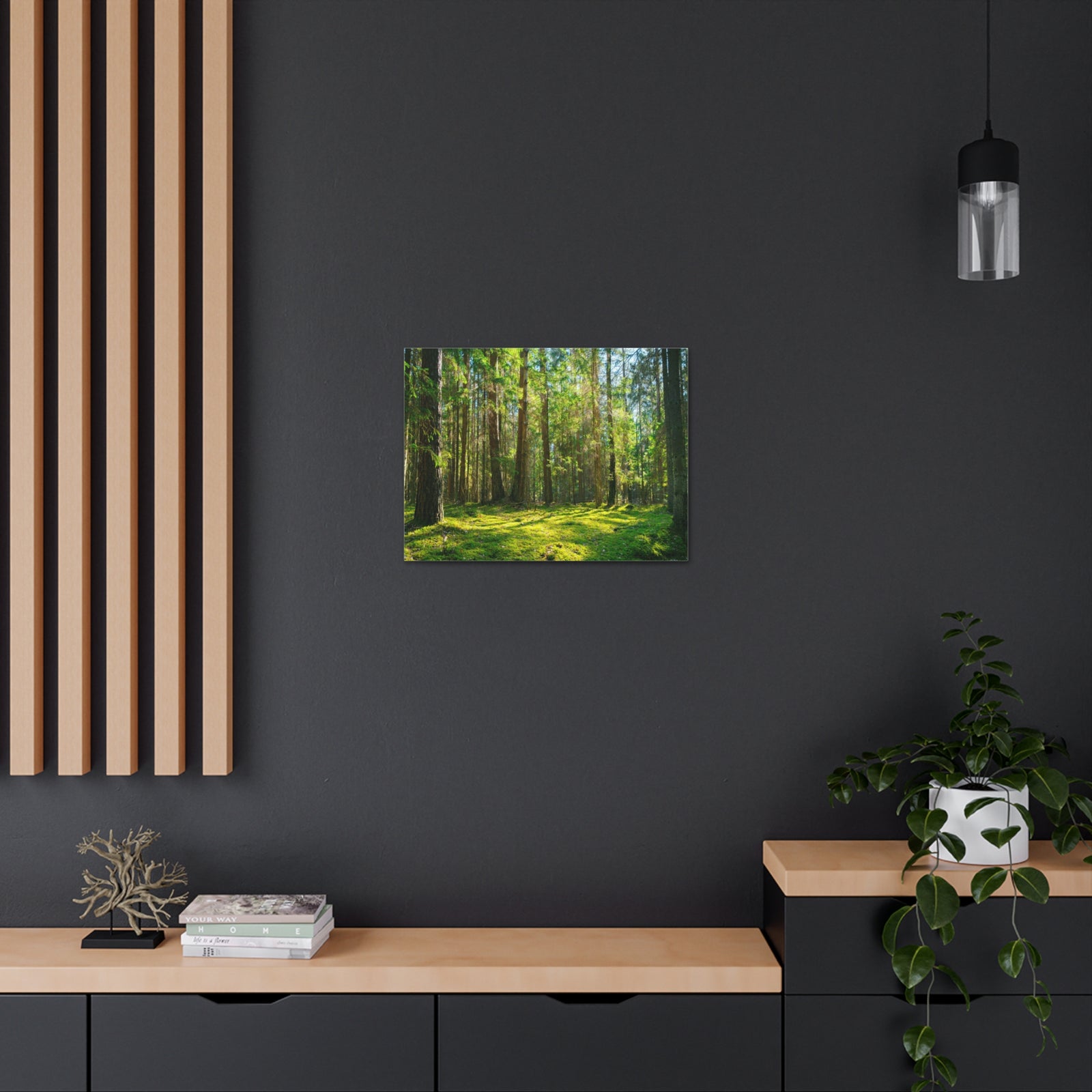 Sunlight Green Forest Tree Nature Wilderness Photography Canvas Wall Art for Home Decor Ready-to-Hang-Express Your Love Gifts