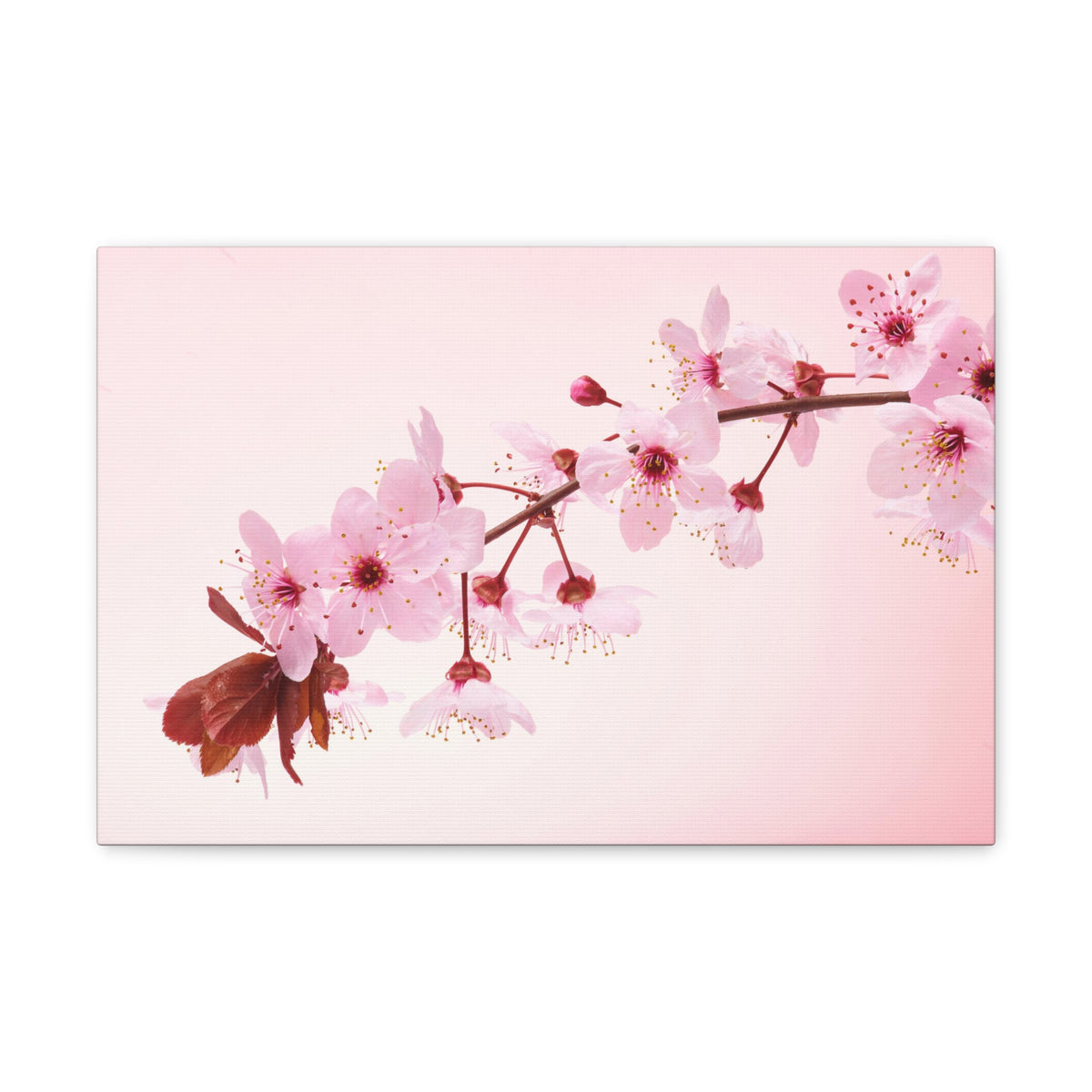 Single Cherry Blossom Forest Floral Nature Photography Canvas Wall Art for Home Decor Ready-to-Hang-Express Your Love Gifts