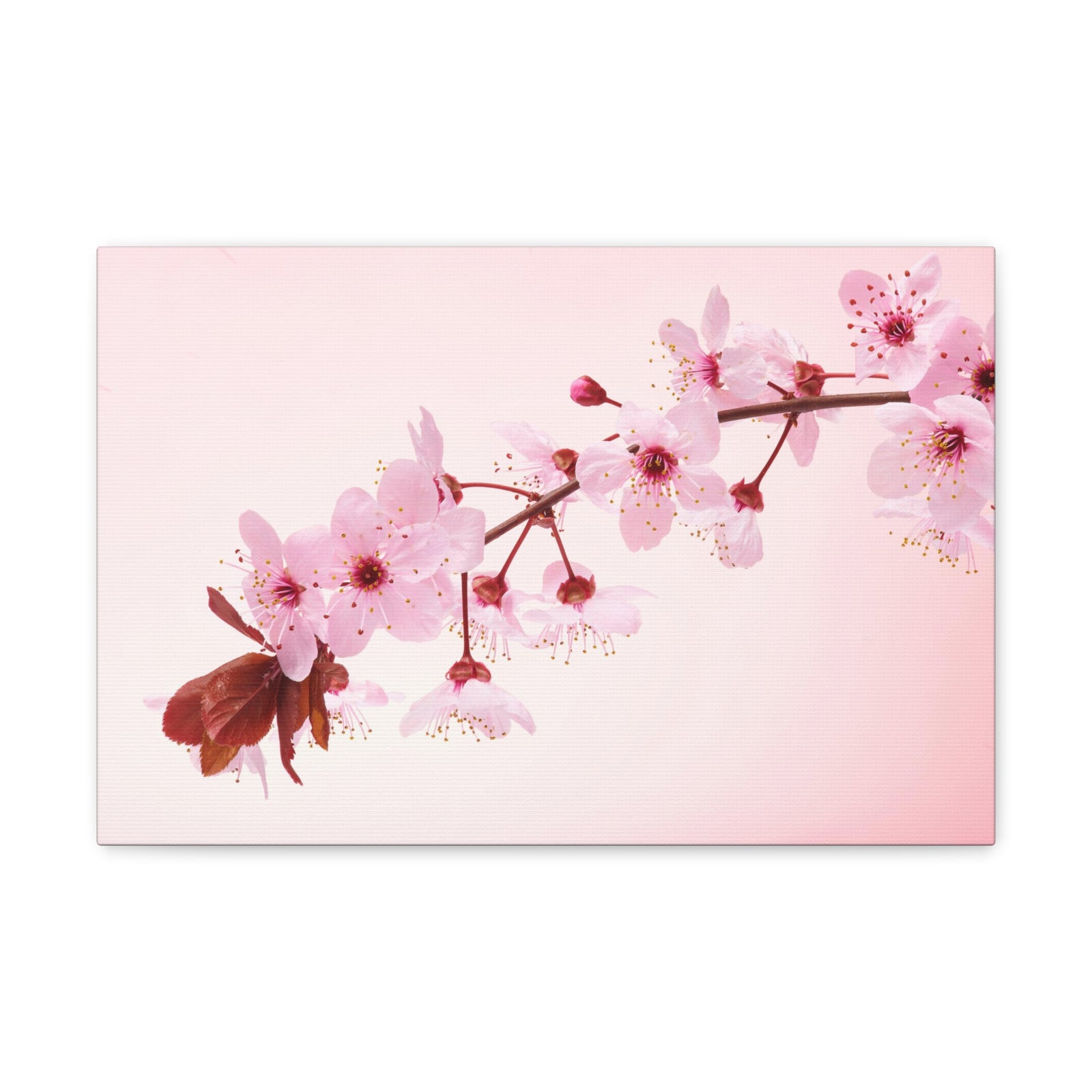 Single Cherry Blossom Forest Floral Nature Photography Canvas Wall Art for Home Decor Ready-to-Hang-Express Your Love Gifts