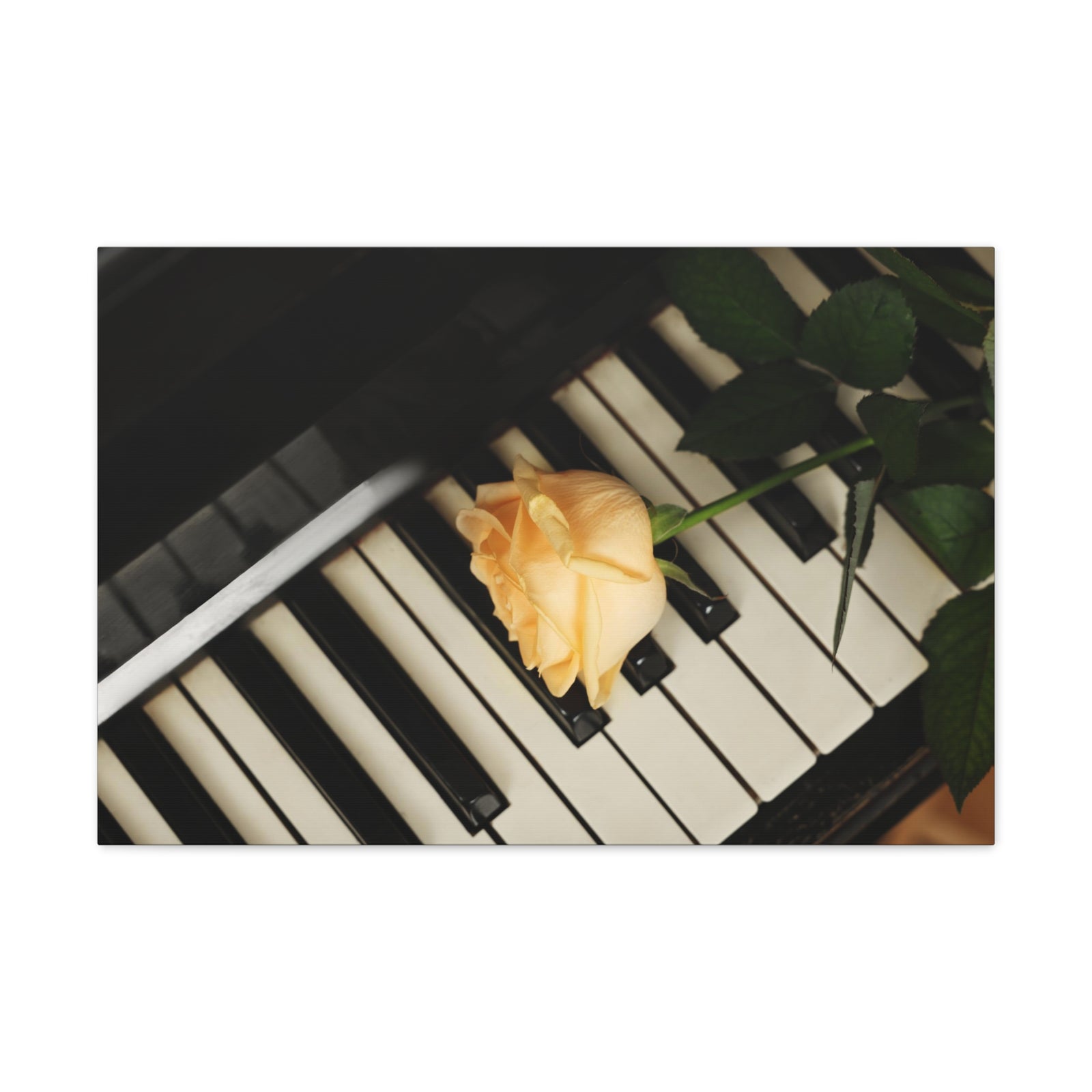 Piano Rose Music Lover's Delight Piano Keyboard Canvas Wall Art for Home Decor Ready-to-Hang-Express Your Love Gifts