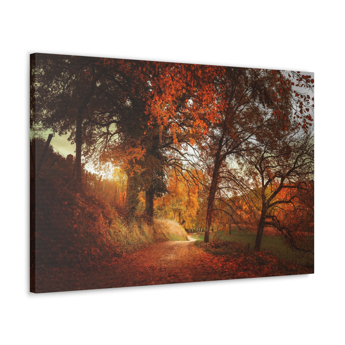 Autumn Park Orange Tree Nature Wilderness Photography Canvas Wall Art for Home Decor Ready-to-Hang-Express Your Love Gifts