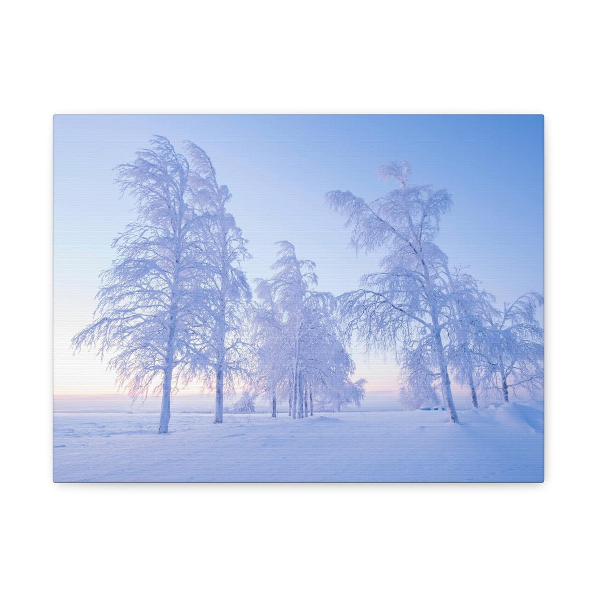Frosty Trees At Dawn Beautiful Winter Canvas Wall Art for Home Decor Ready-to-Hang-Express Your Love Gifts