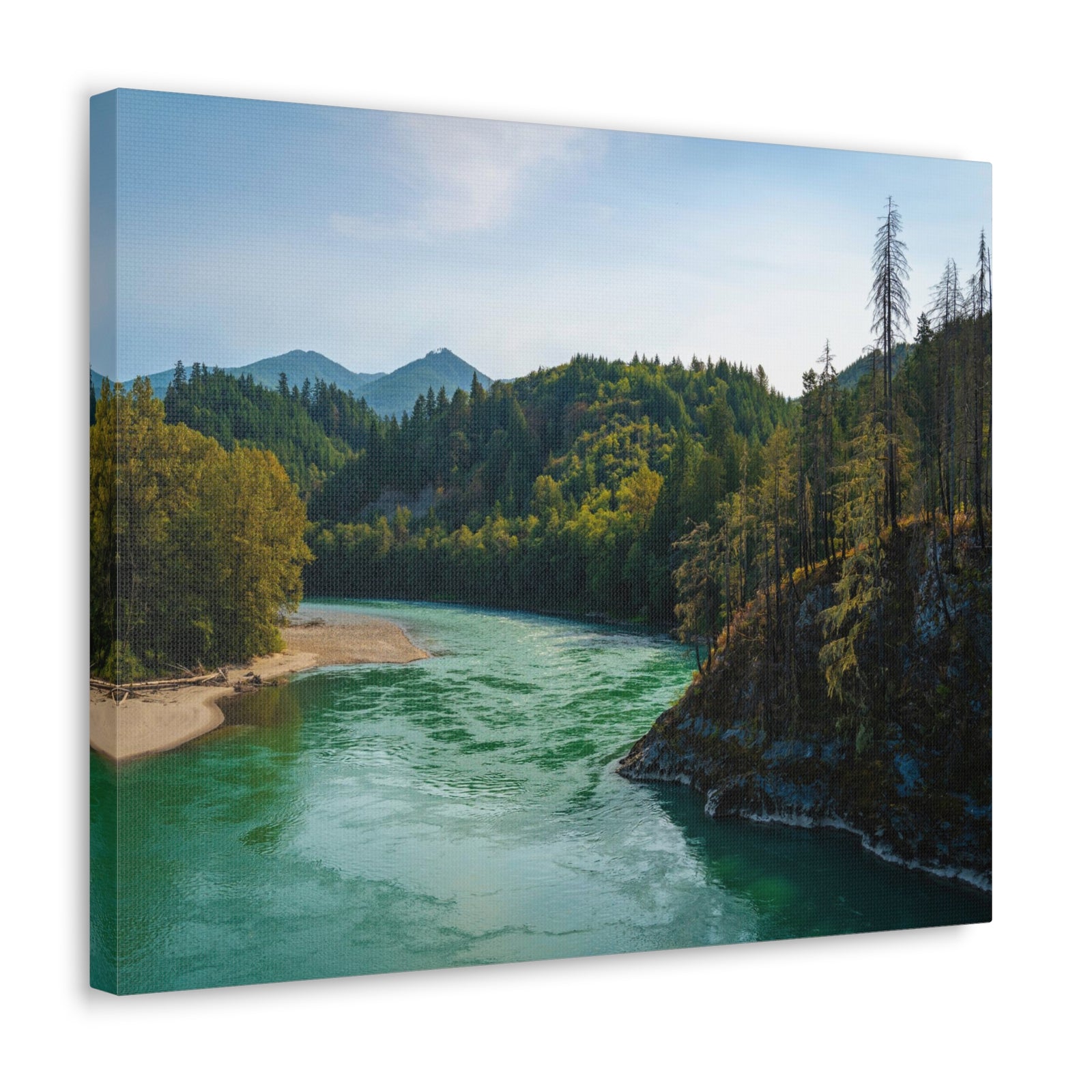 River Through Pine Tree Green Forest Nature Wilderness Photography Canvas Wall Art for Home Decor Ready-to-Hang-Express Your Love Gifts