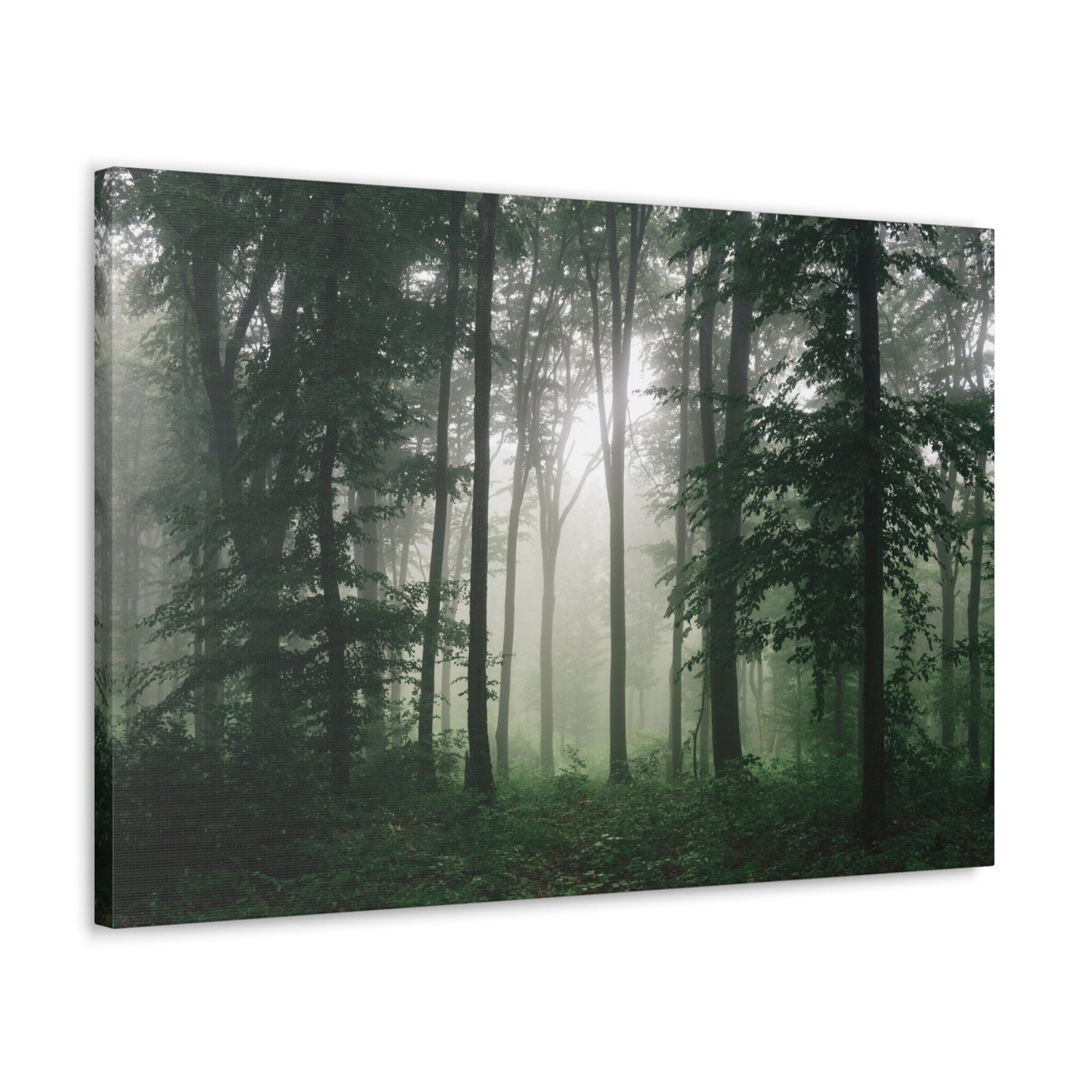 Pine Tree Misty Forest Nature Wilderness Photography Canvas Wall Art for Home Decor Ready-to-Hang-Express Your Love Gifts