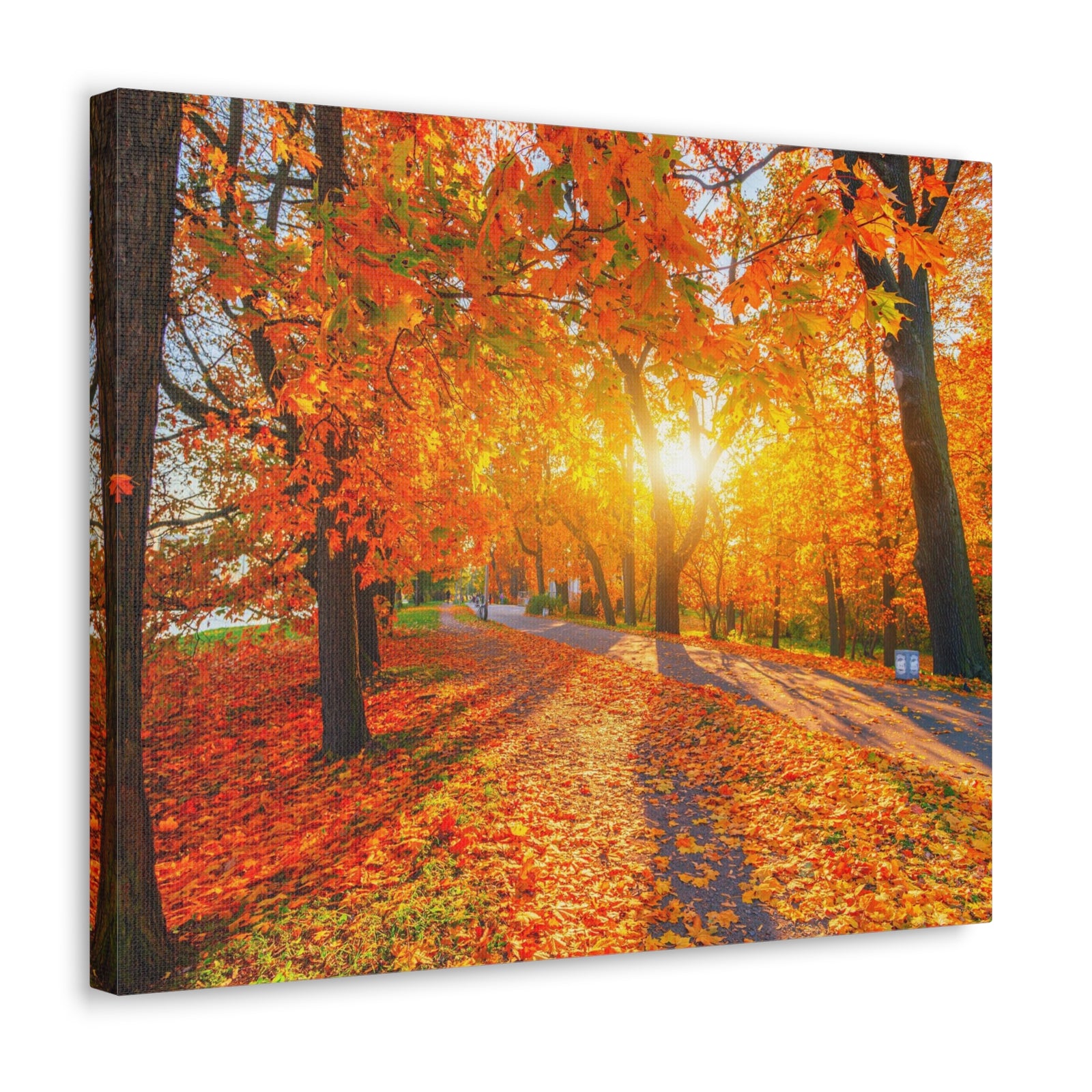 Autumn Forest Path Forest Floral Nature Photography Canvas Wall Art for Home Decor Ready-to-Hang-Express Your Love Gifts