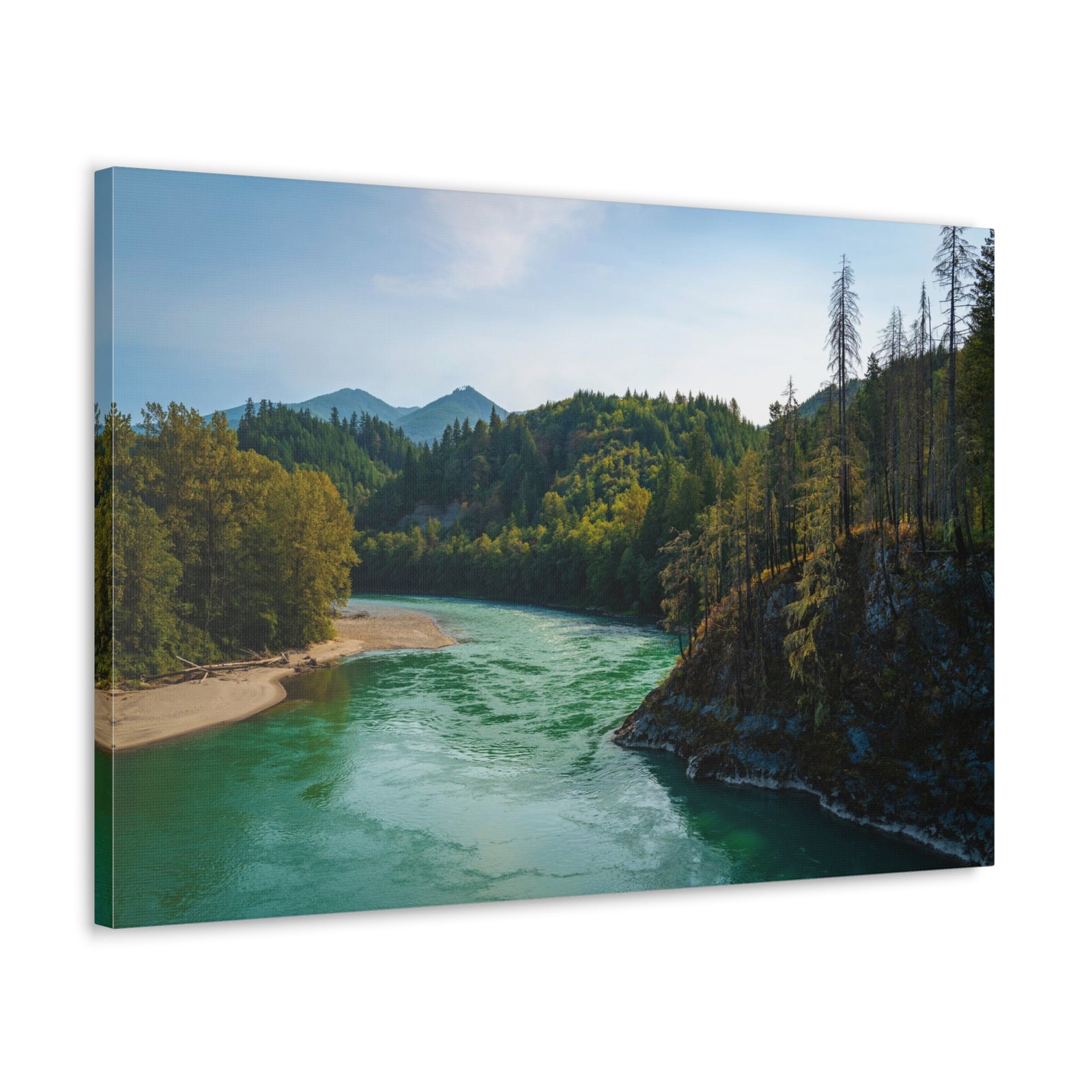 River Through Pine Tree Green Forest Nature Wilderness Photography Canvas Wall Art for Home Decor Ready-to-Hang-Express Your Love Gifts