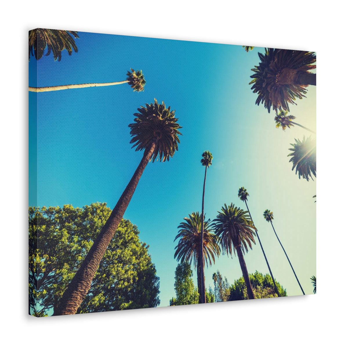 Los Angeles Sky Palm Trees Nature Wilderness Photography Canvas Wall Art for Home Decor Ready-to-Hang-Express Your Love Gifts