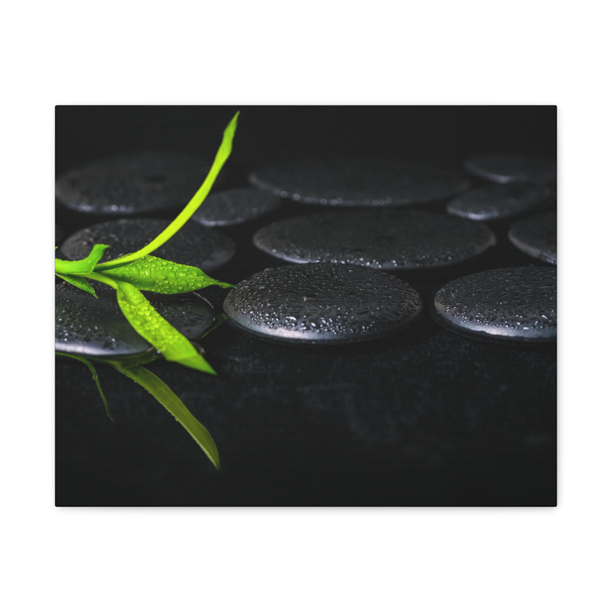 Green Bamboo on Stones Forest Floral Nature Photography Canvas Wall Art for Home Decor Ready-to-Hang-Express Your Love Gifts