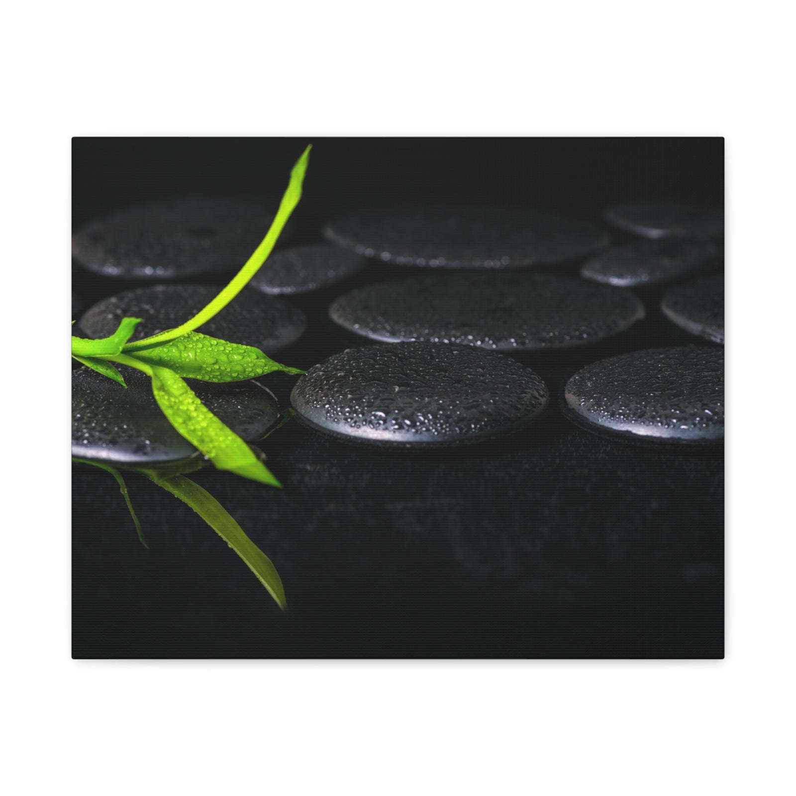 Green Bamboo on Stones Forest Floral Nature Photography Canvas Wall Art for Home Decor Ready-to-Hang-Express Your Love Gifts