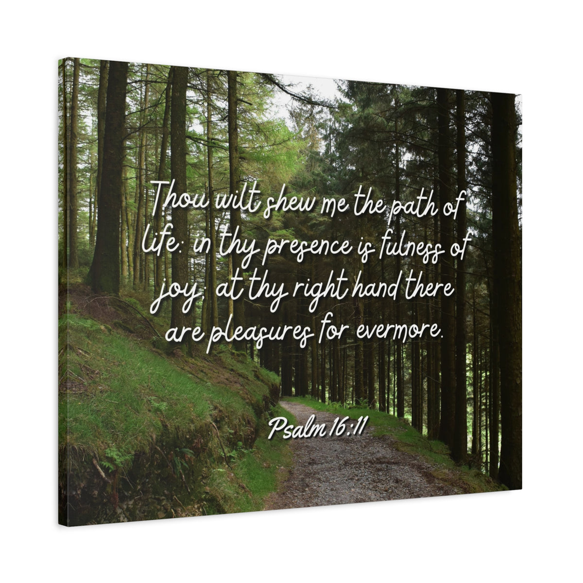 Scripture Walls The Path Of Life Psalm 16:11 Bible Verse Canvas Christian Wall Art Ready to Hang-Express Your Love Gifts