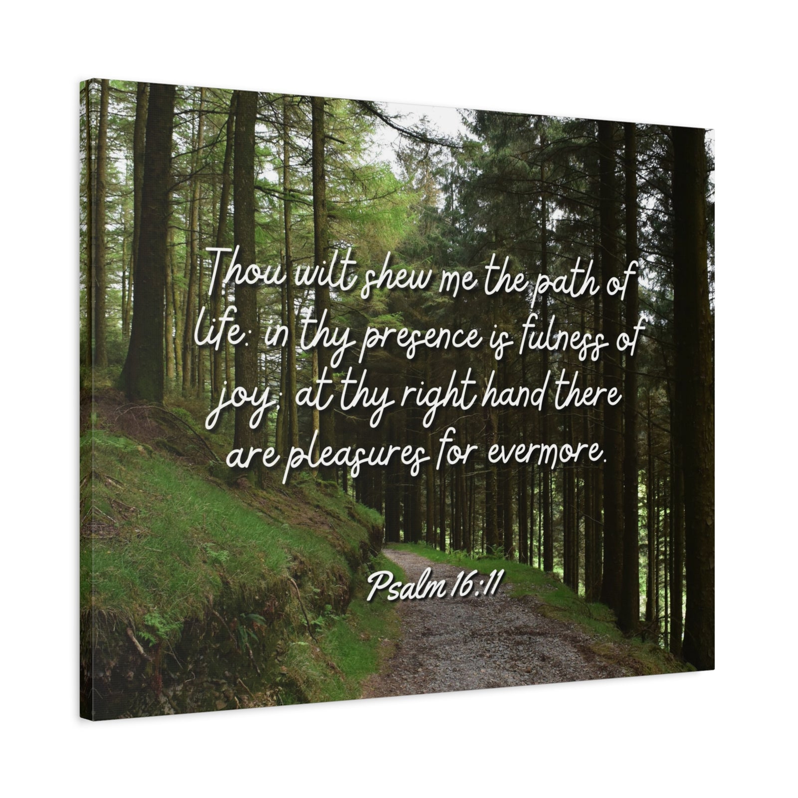 Scripture Walls The Path Of Life Psalm 16:11 Bible Verse Canvas Christian Wall Art Ready to Hang-Express Your Love Gifts