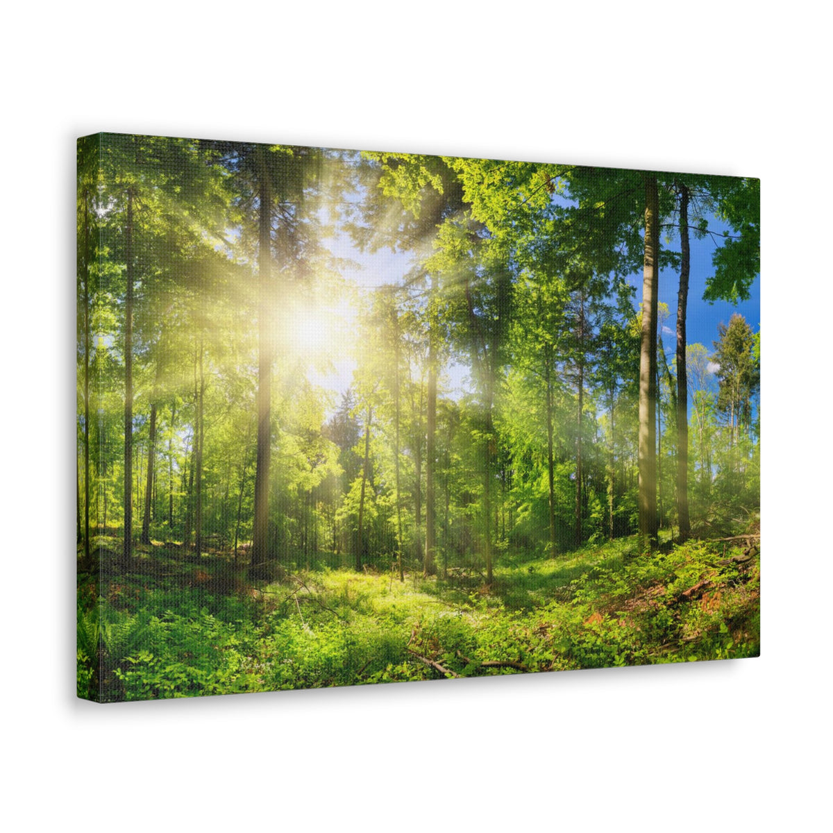 Sunrise Through Green Forest Nature Wilderness Photography Canvas Wall Art for Home Decor Ready-to-Hang-Express Your Love Gifts