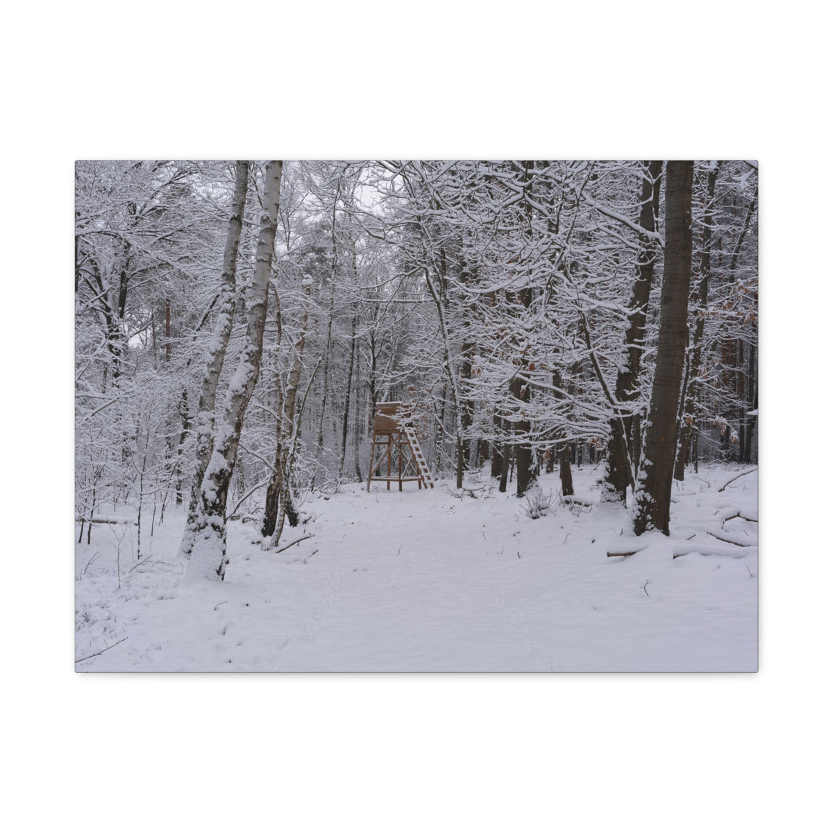 Forest Winter Tree Snow Nature Wilderness Photography Canvas Wall Art for Home Decor Ready-to-Hang-Express Your Love Gifts