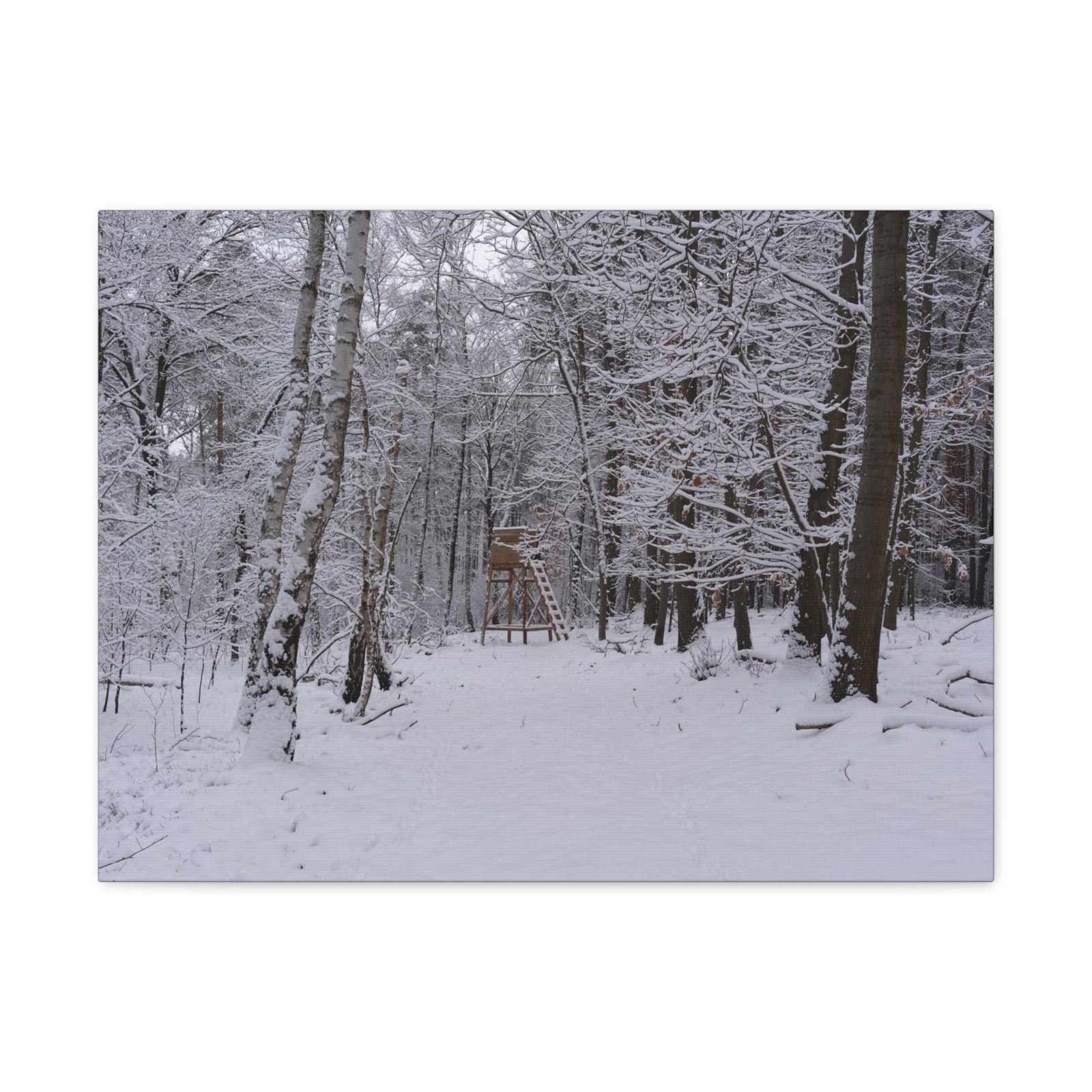 Forest Winter Tree Snow Nature Wilderness Photography Canvas Wall Art for Home Decor Ready-to-Hang-Express Your Love Gifts