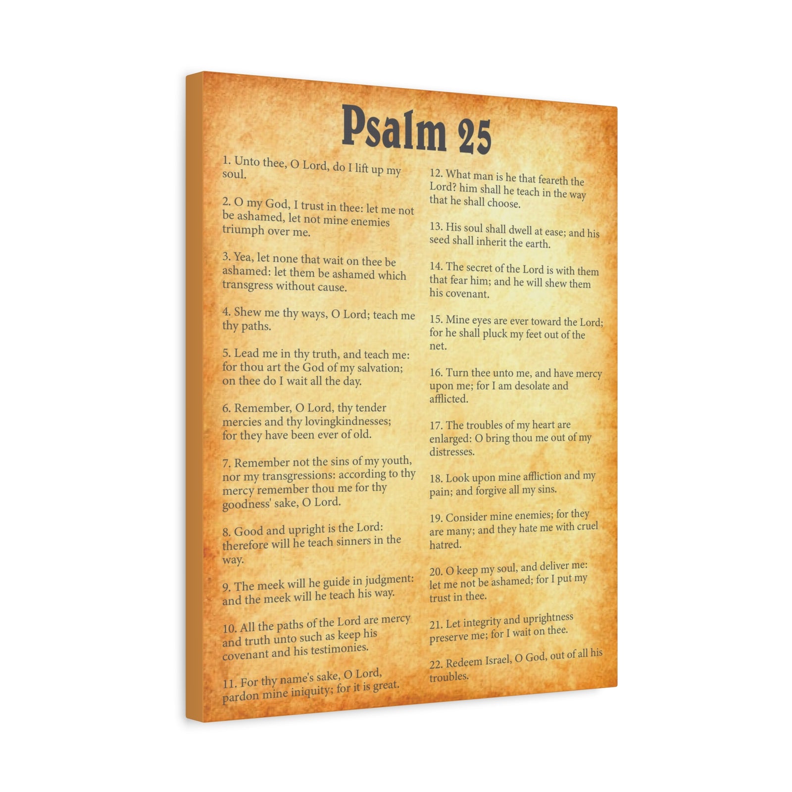 Scripture Walls Psalm 25 Gold Bible Chapter Canvas Christian Wall Art Ready to Hang-Express Your Love Gifts