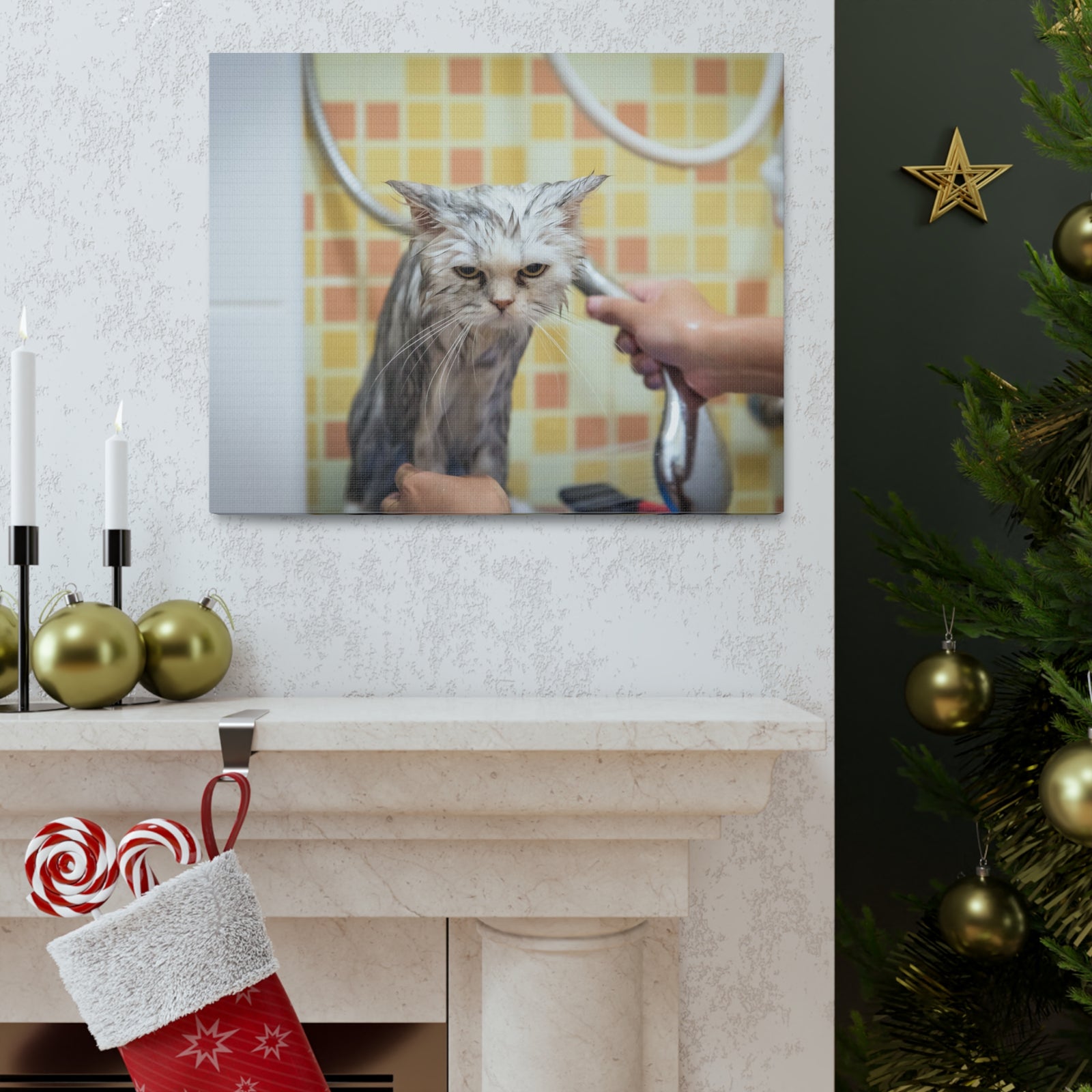 Cute Maine Coon Bath Canvas Wall Art for Home Decor Ready-to-Hang-Express Your Love Gifts