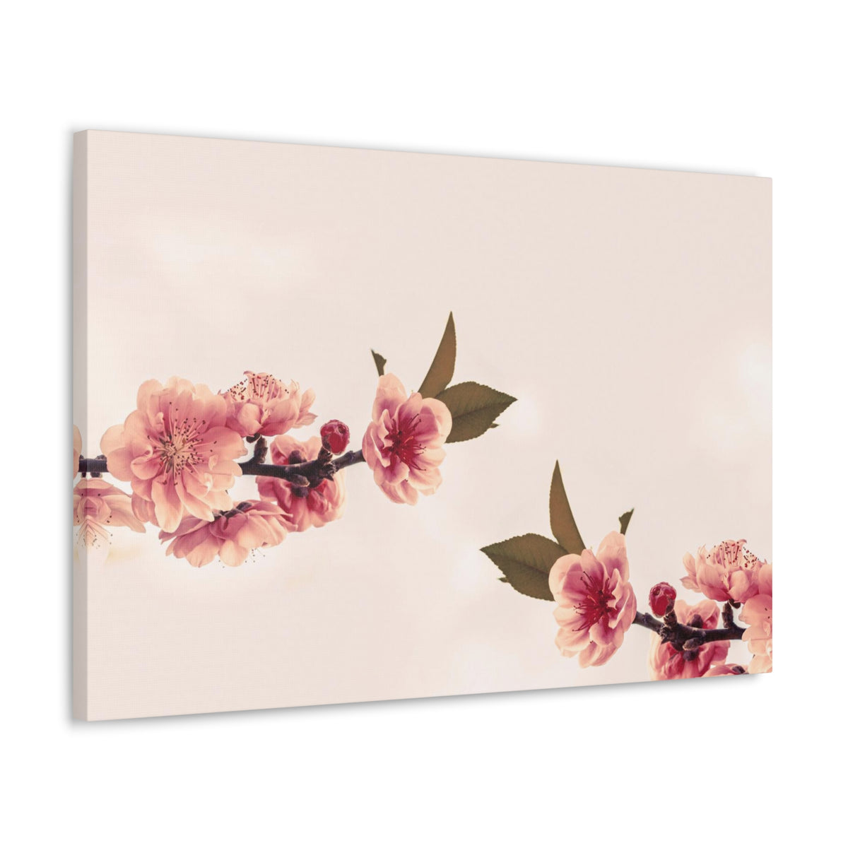Peach Blossoms with Space Forest Floral Nature Photography Canvas Wall Art for Home Decor Ready-to-Hang-Express Your Love Gifts