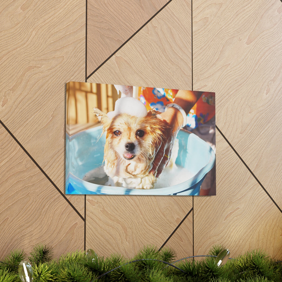 Cute Pomeranian Bathee Canvas Wall Art for Home Decor Ready-to-Hang-Express Your Love Gifts