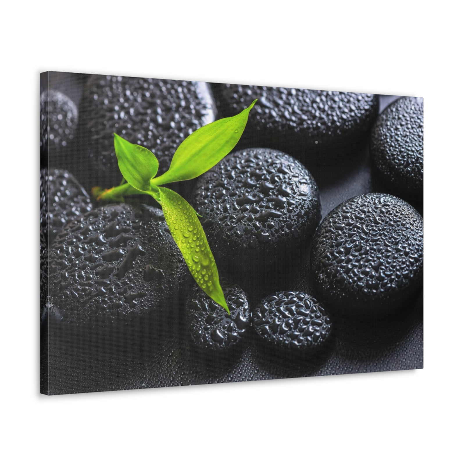 Green Branch Bamboo Forest Floral Nature Photography Canvas Wall Art for Home Decor Ready-to-Hang-Express Your Love Gifts