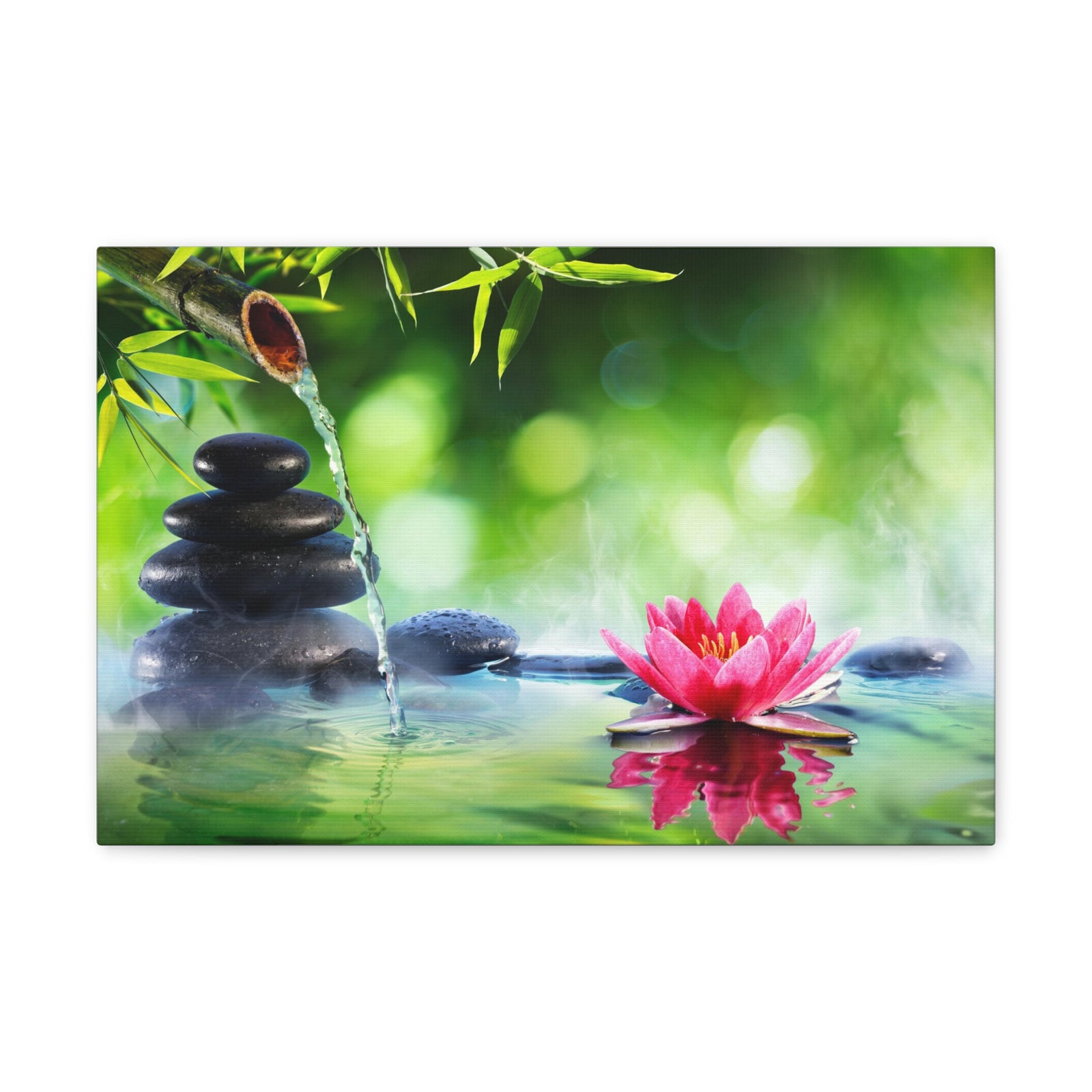 Stones and Waterlily Forest Floral Nature Photography Canvas Wall Art for Home Decor Ready-to-Hang-Express Your Love Gifts