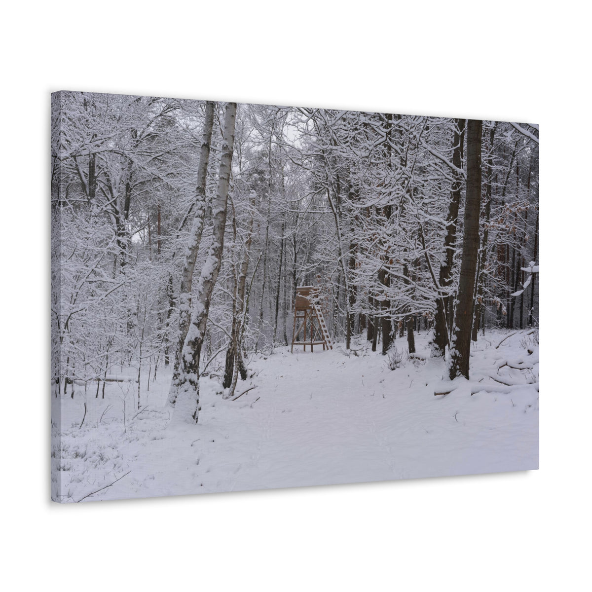 Forest Winter Tree Snow Nature Wilderness Photography Canvas Wall Art for Home Decor Ready-to-Hang-Express Your Love Gifts