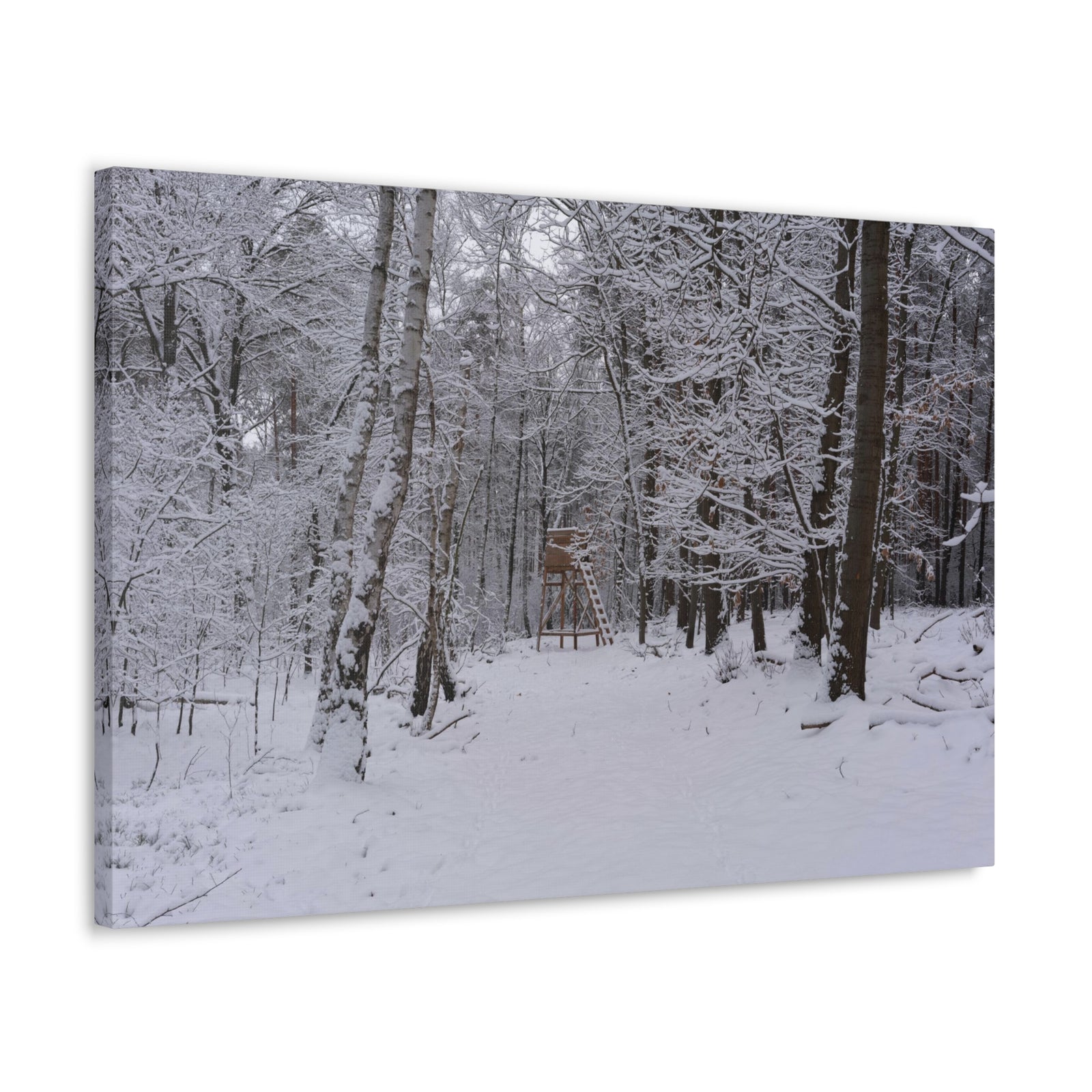 Forest Winter Tree Snow Nature Wilderness Photography Canvas Wall Art for Home Decor Ready-to-Hang-Express Your Love Gifts
