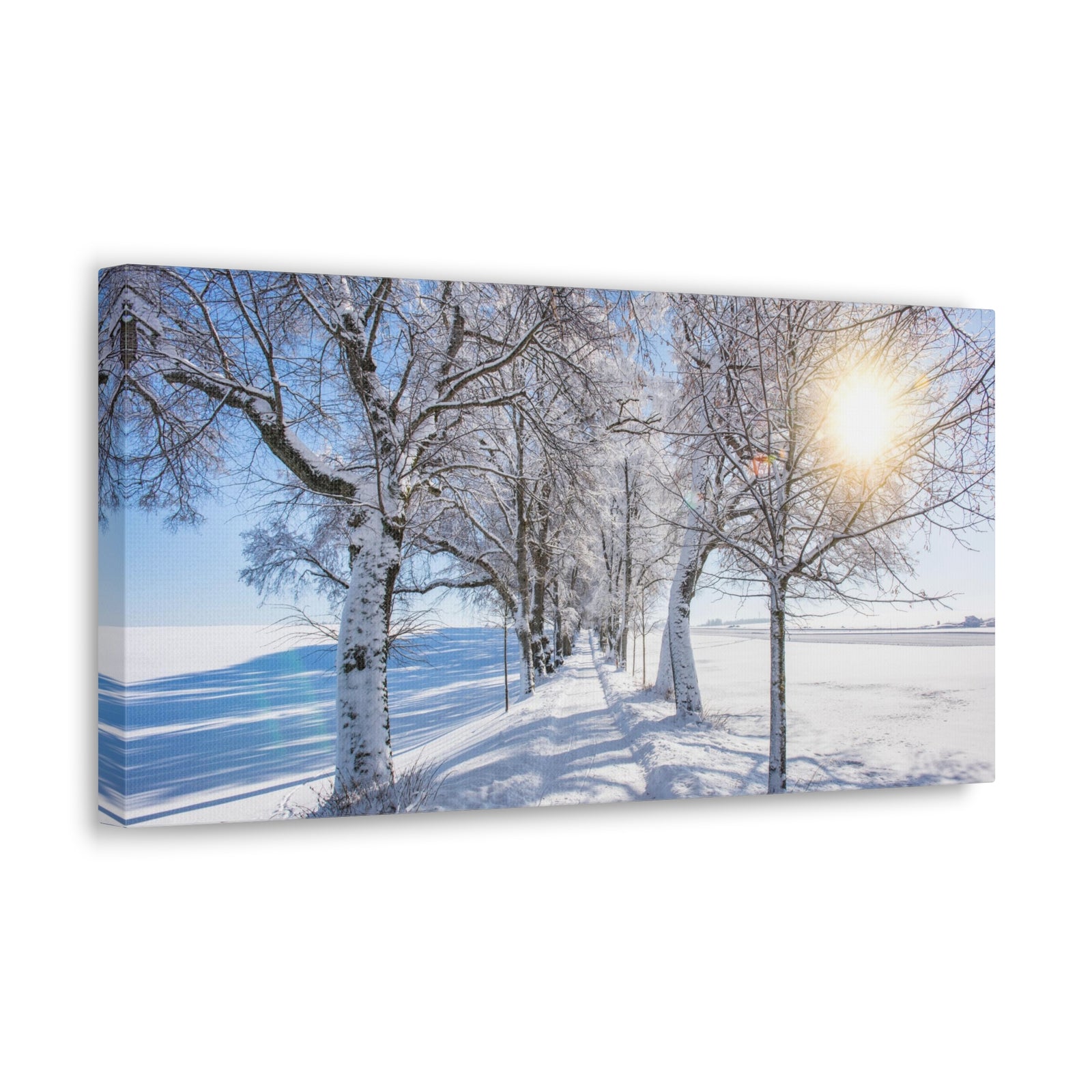 Small Footpath In Winter Through Trees Canvas Wall Art for Home Decor Ready-to-Hang-Express Your Love Gifts