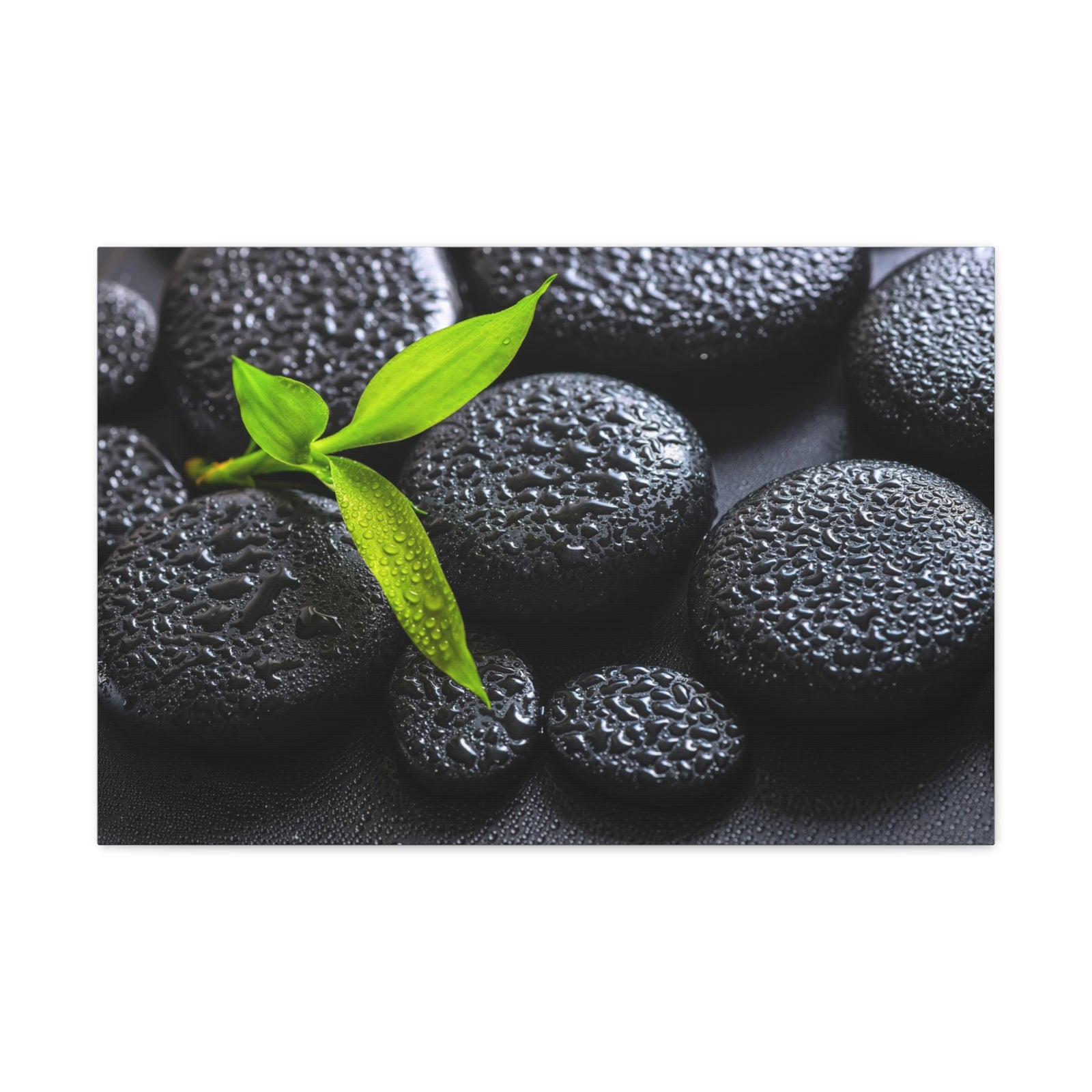 Green Branch Bamboo Forest Floral Nature Photography Canvas Wall Art for Home Decor Ready-to-Hang-Express Your Love Gifts