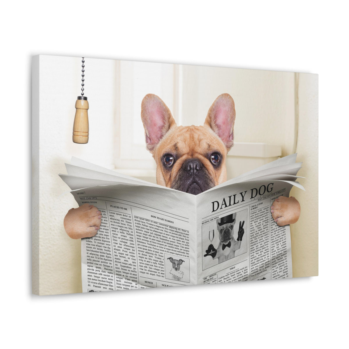 Fawn French Bulldog Reading Newspaper On Toilet Funny Canvas Wall Art for Home Decor Ready-to-Hand-Express Your Love Gifts