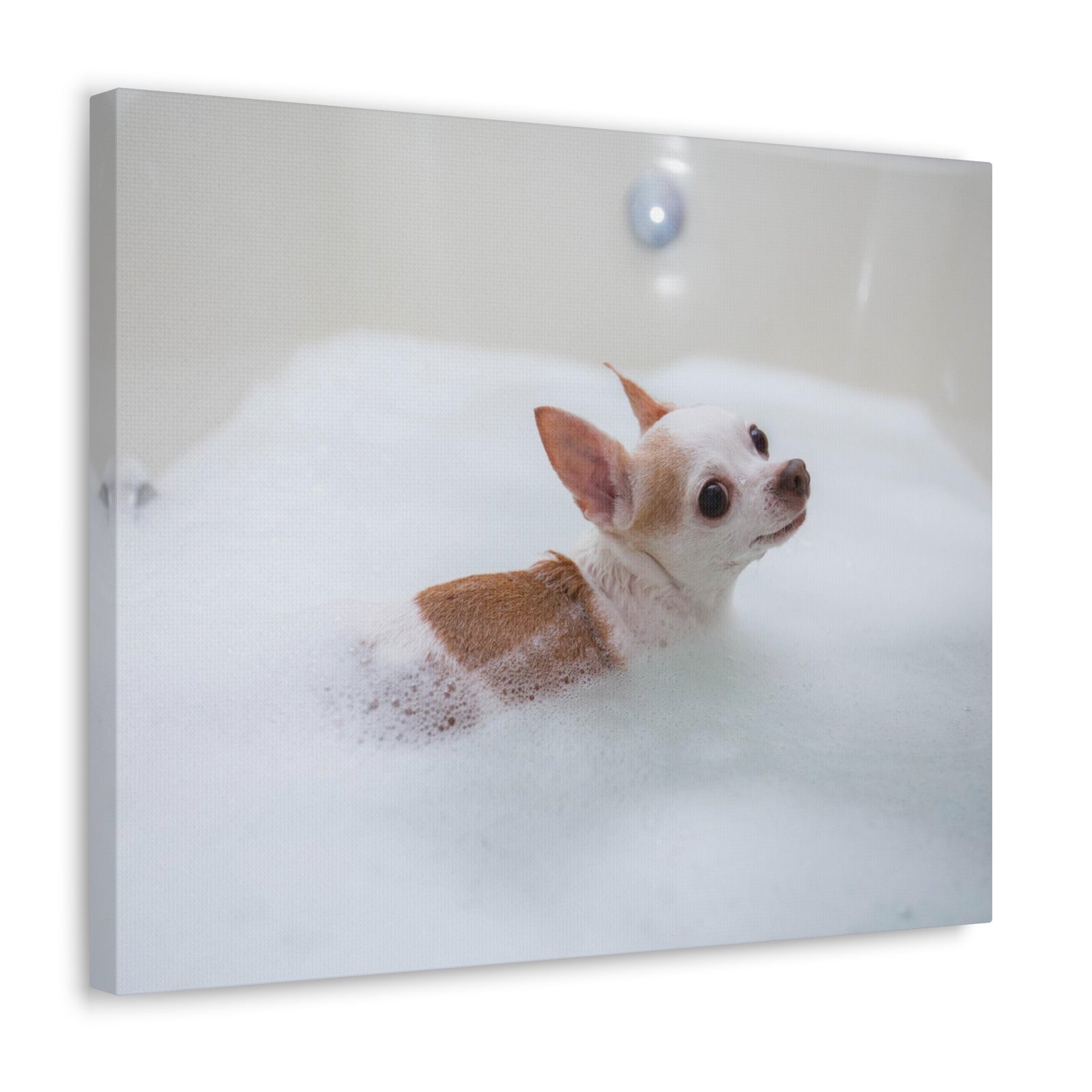 Cute Chihuahua Bathee Canvas Wall Art for Home Decor Ready-to-Hang-Express Your Love Gifts