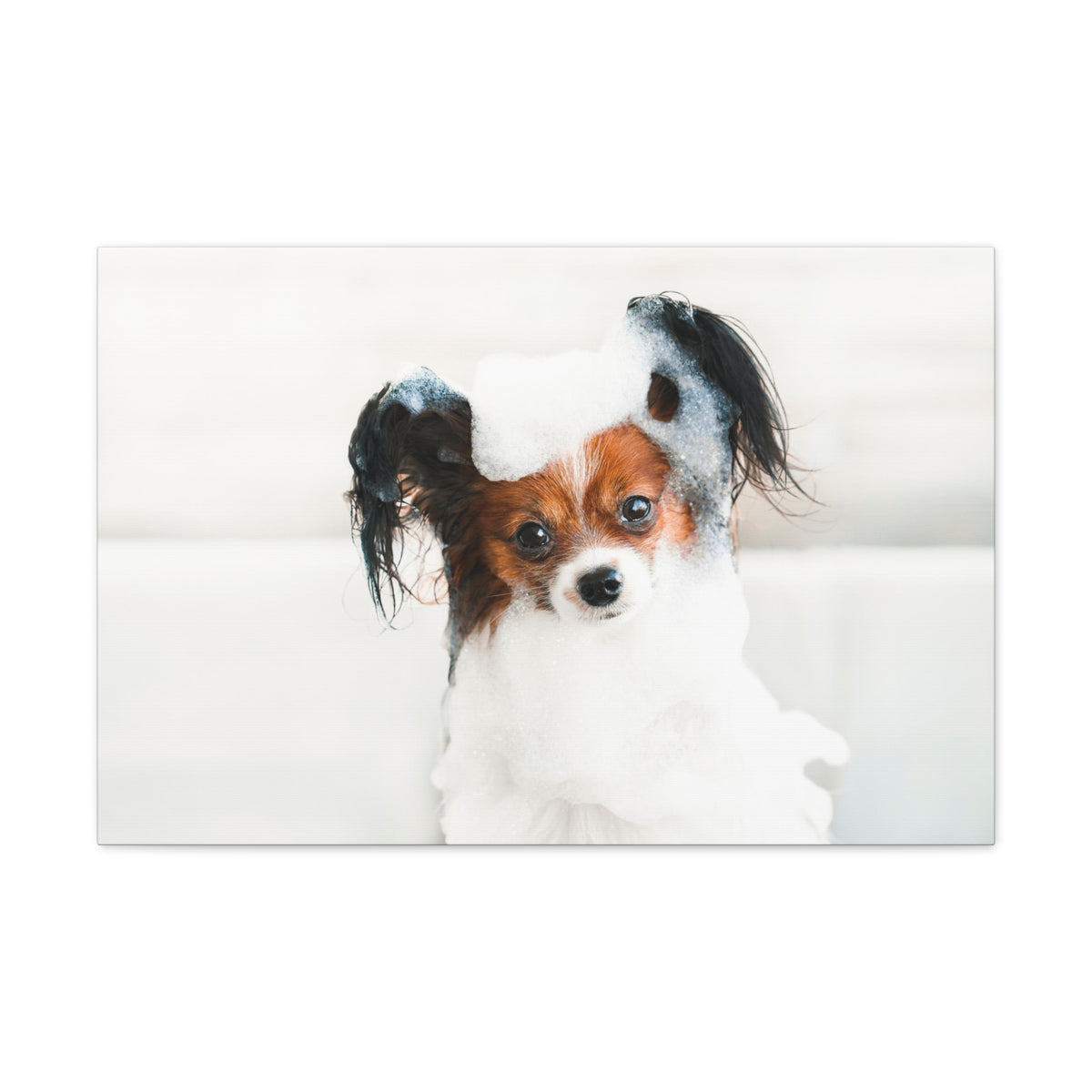 Cute Papillon Bath Canvas Wall Art for Home Decor Ready-to-Hang-Express Your Love Gifts