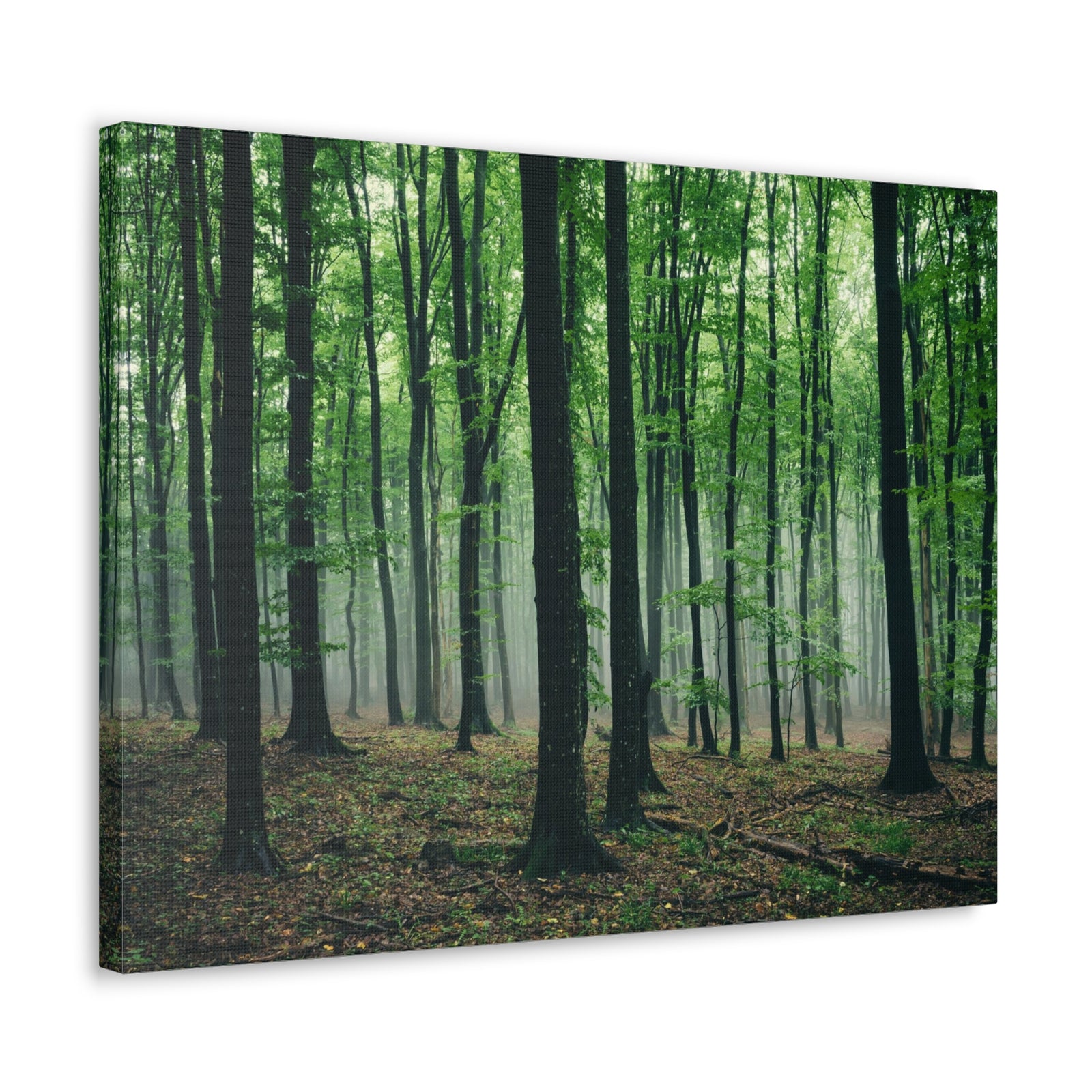 Misty Green Pine Tree Forest Nature Wilderness Photography Canvas Wall Art for Home Decor Ready-to-Hang-Express Your Love Gifts