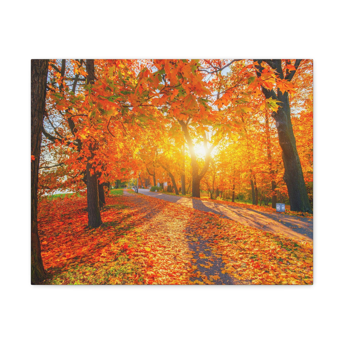Autumn Forest Path Forest Floral Nature Photography Canvas Wall Art for Home Decor Ready-to-Hang-Express Your Love Gifts